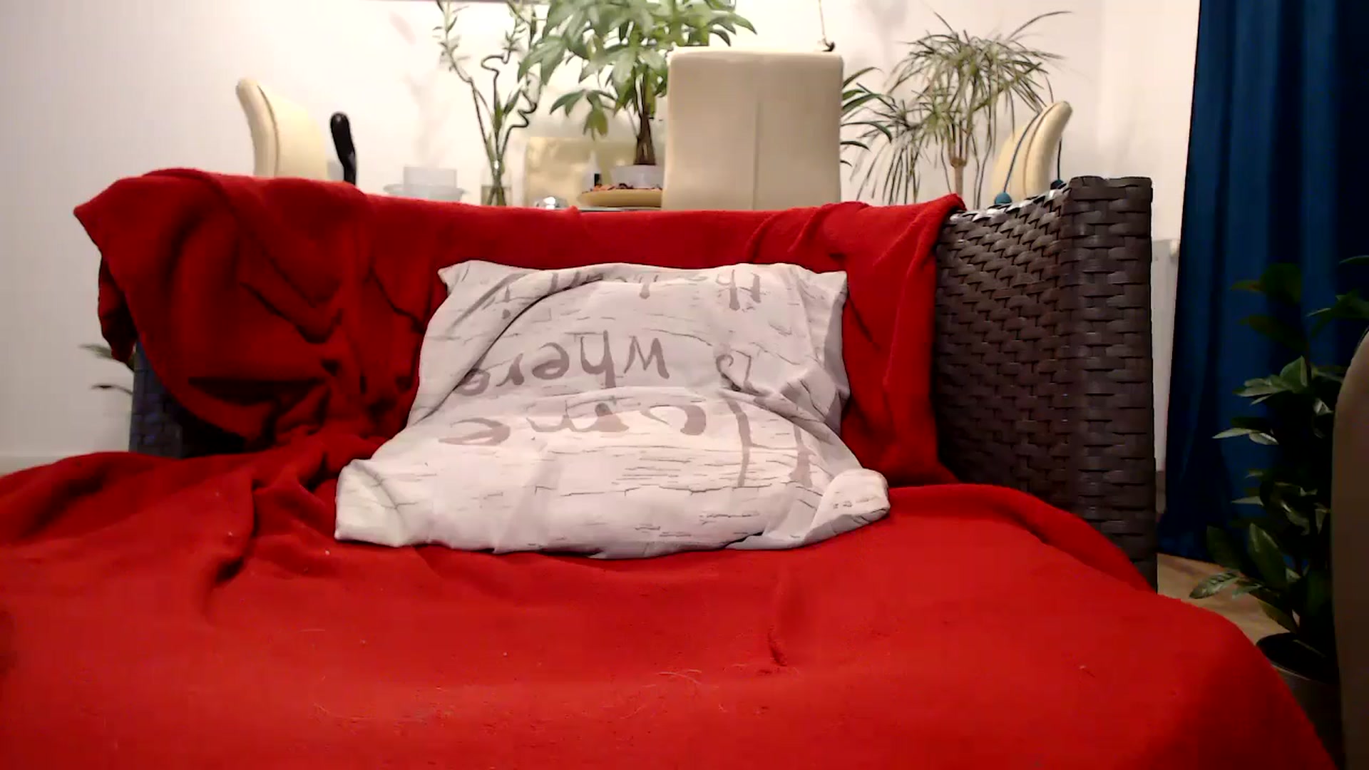 Gallery image thumbnail from MissDivinna's myfreecams stream on, 10/21/2024, 24:56 image 6 of 20