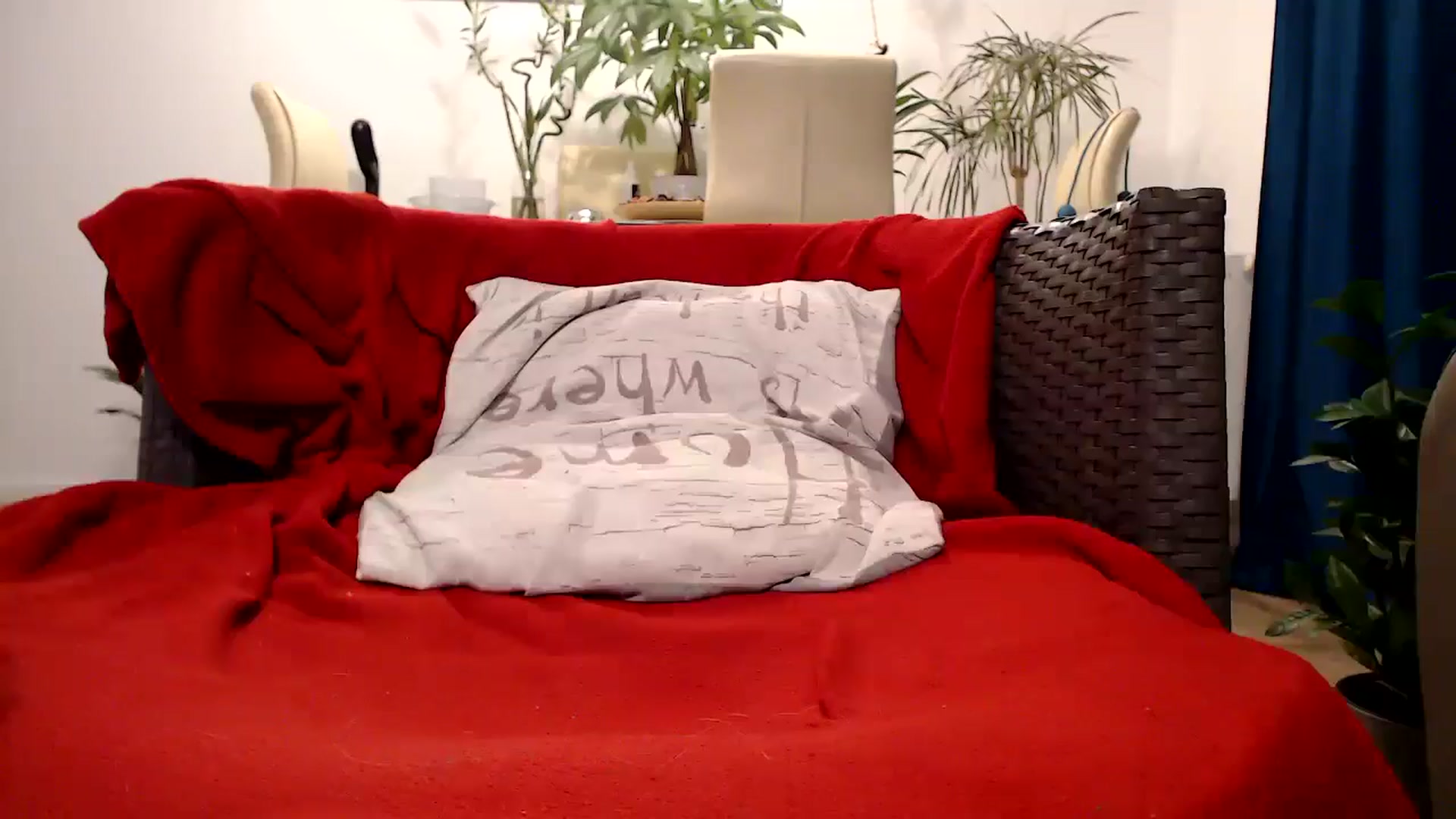 Gallery image thumbnail from MissDivinna's myfreecams stream on, 10/21/2024, 24:56 image 5 of 20