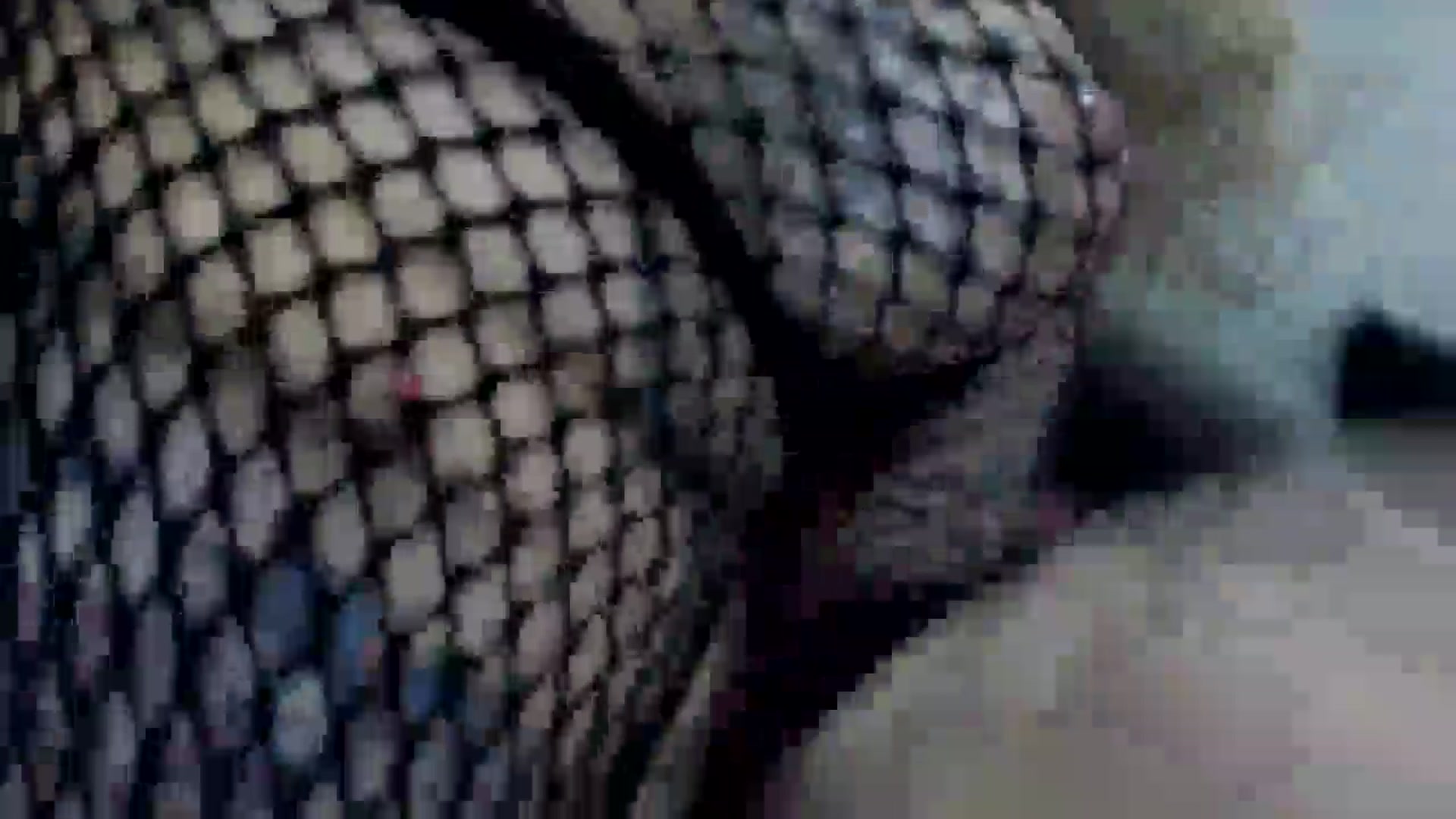 Gallery image thumbnail from MissDivinna's myfreecams stream on, 01/17/2025, 02:29 image 12 of 20