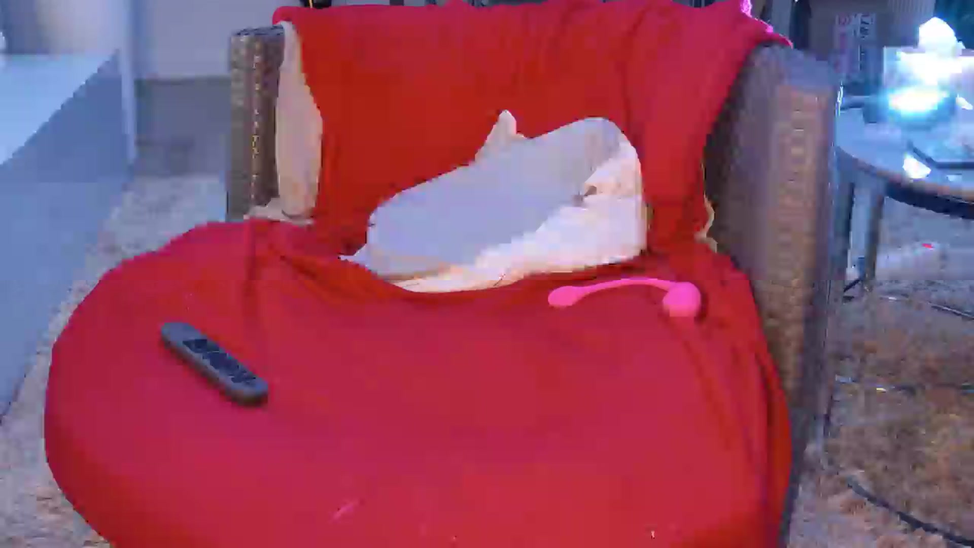 Gallery image thumbnail from MissDivinna's myfreecams stream on, 05/13/2025, 21:57 image 10 of 20