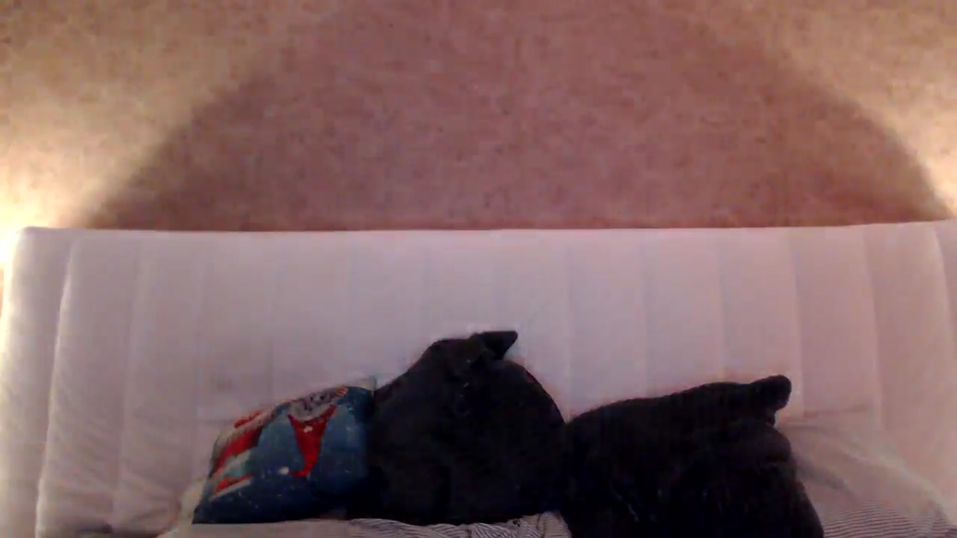 Gallery image thumbnail from MissDivinna's myfreecams stream on, 08/07/2025, 21:28 image 12 of 20