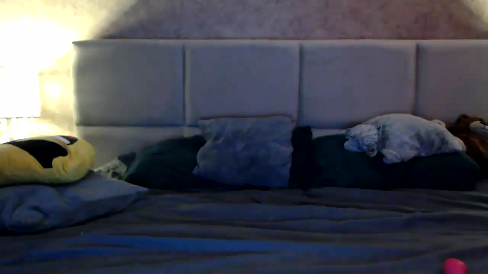 Gallery image thumbnail from MissDivinna's myfreecams stream on, 10/10/2025, 01:48 image 10 of 20