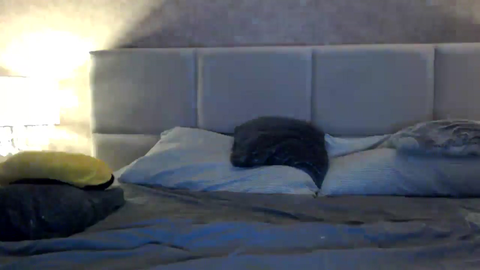 Gallery image thumbnail from MissDivinna's myfreecams stream on, 10/29/2025, 01:53 image 12 of 20