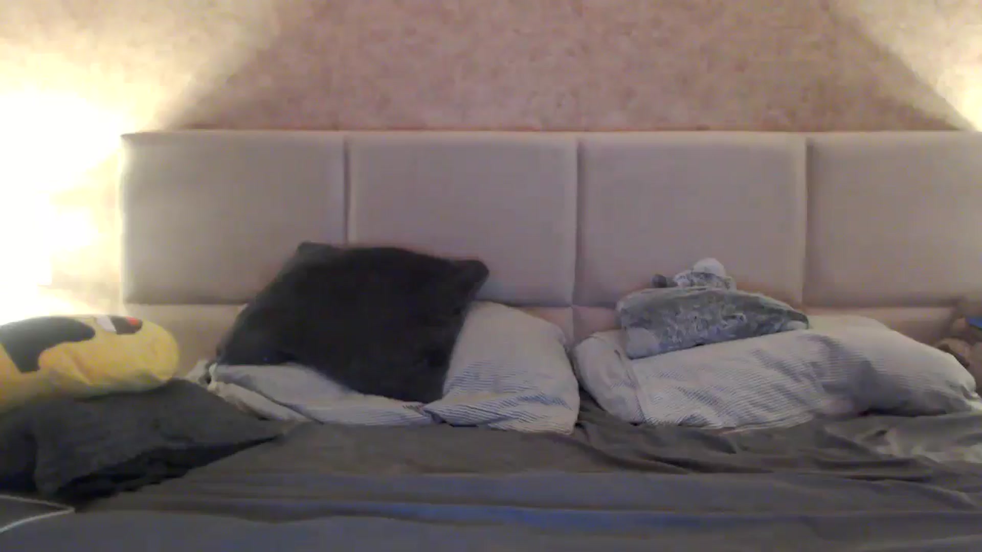 Gallery image thumbnail from MissDivinna's myfreecams stream on, 11/11/2025, 01:05 image 4 of 20