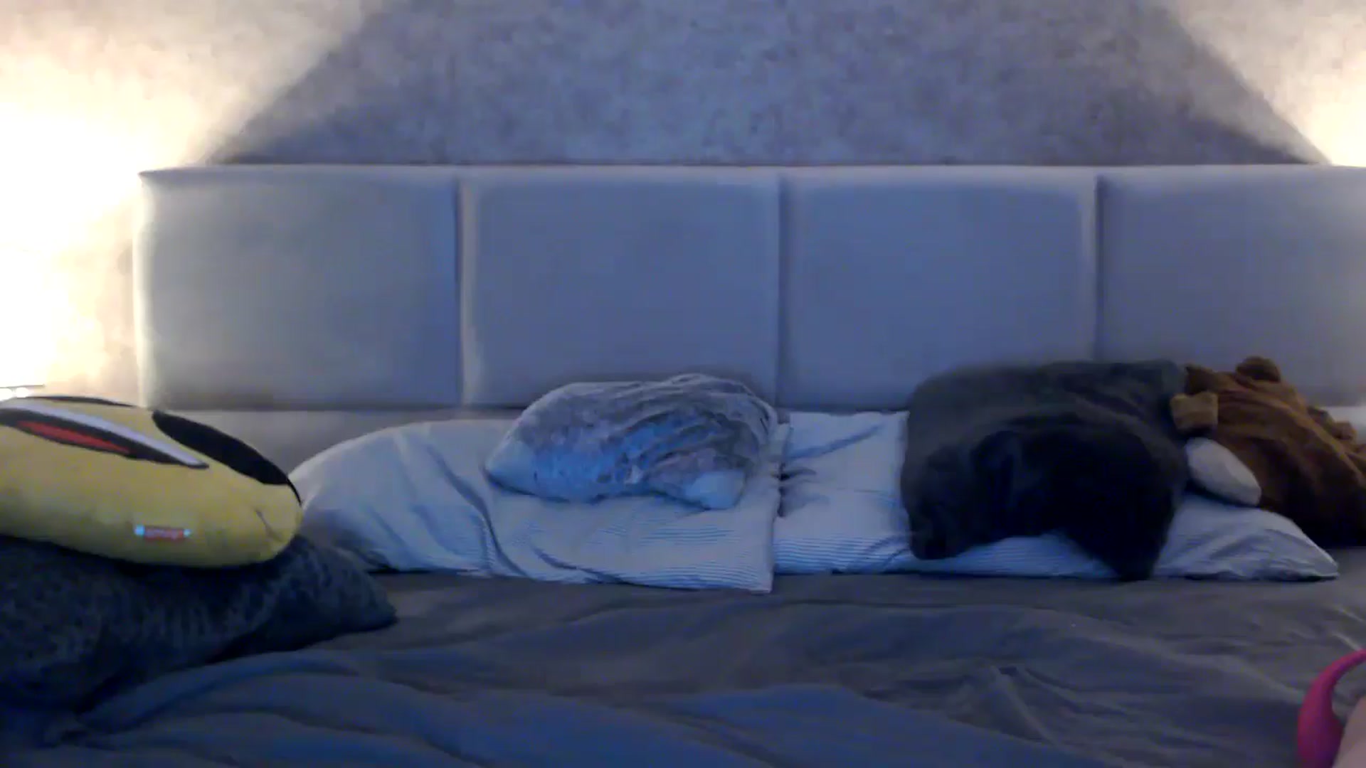 Gallery image thumbnail from MissDivinna's myfreecams stream on, 12/07/2025, 01:34 image 3 of 20