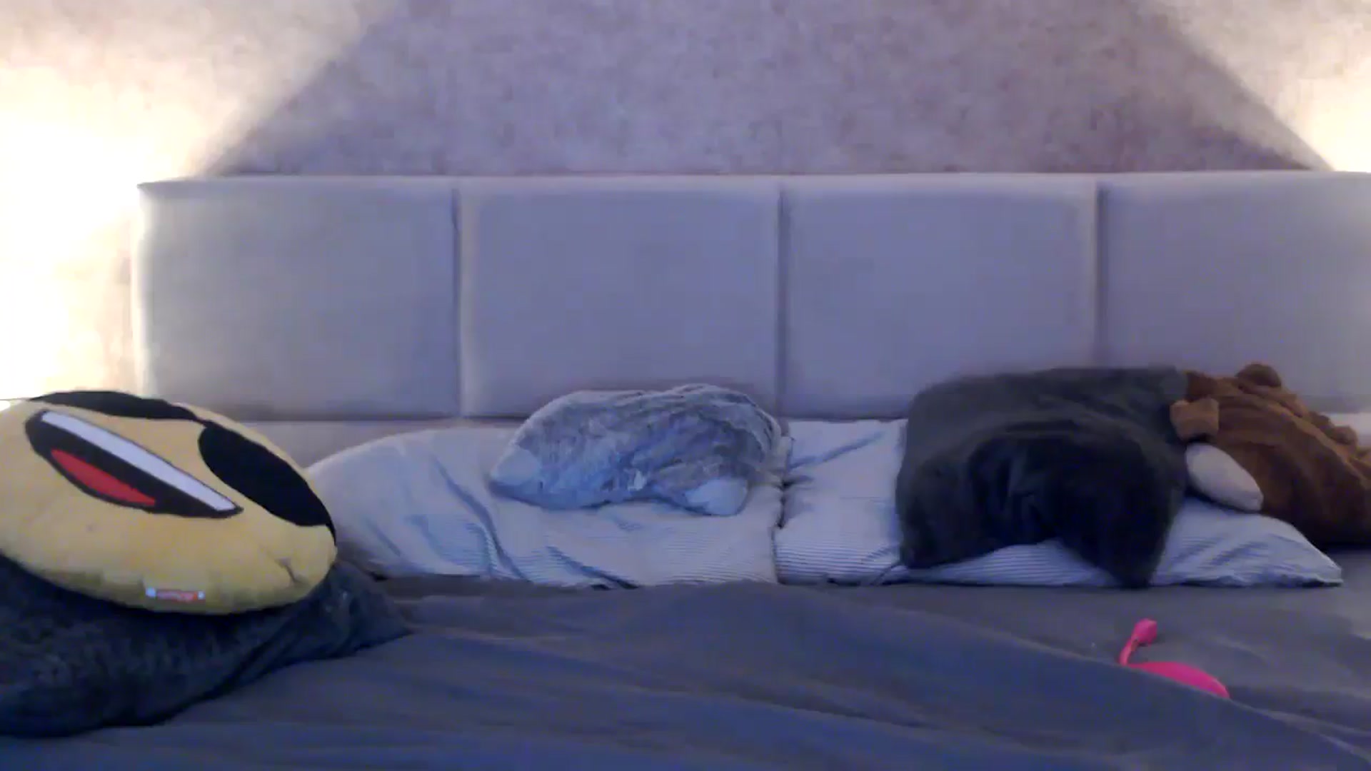 Gallery image thumbnail from MissDivinna's myfreecams stream on, 12/07/2025, 01:34 image 5 of 20
