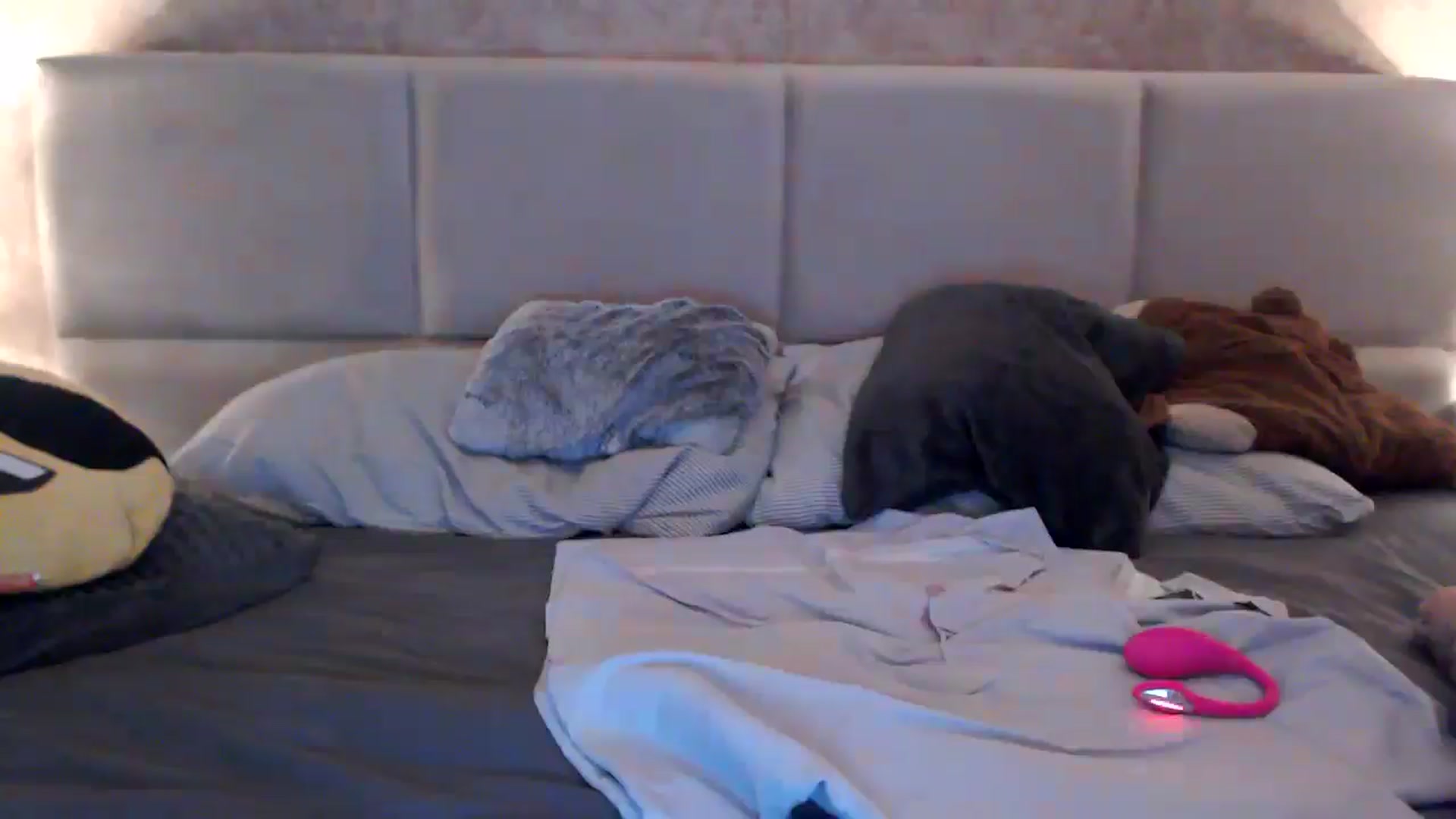 Gallery image thumbnail from MissDivinna's myfreecams stream on, 12/07/2025, 02:39 image 11 of 20
