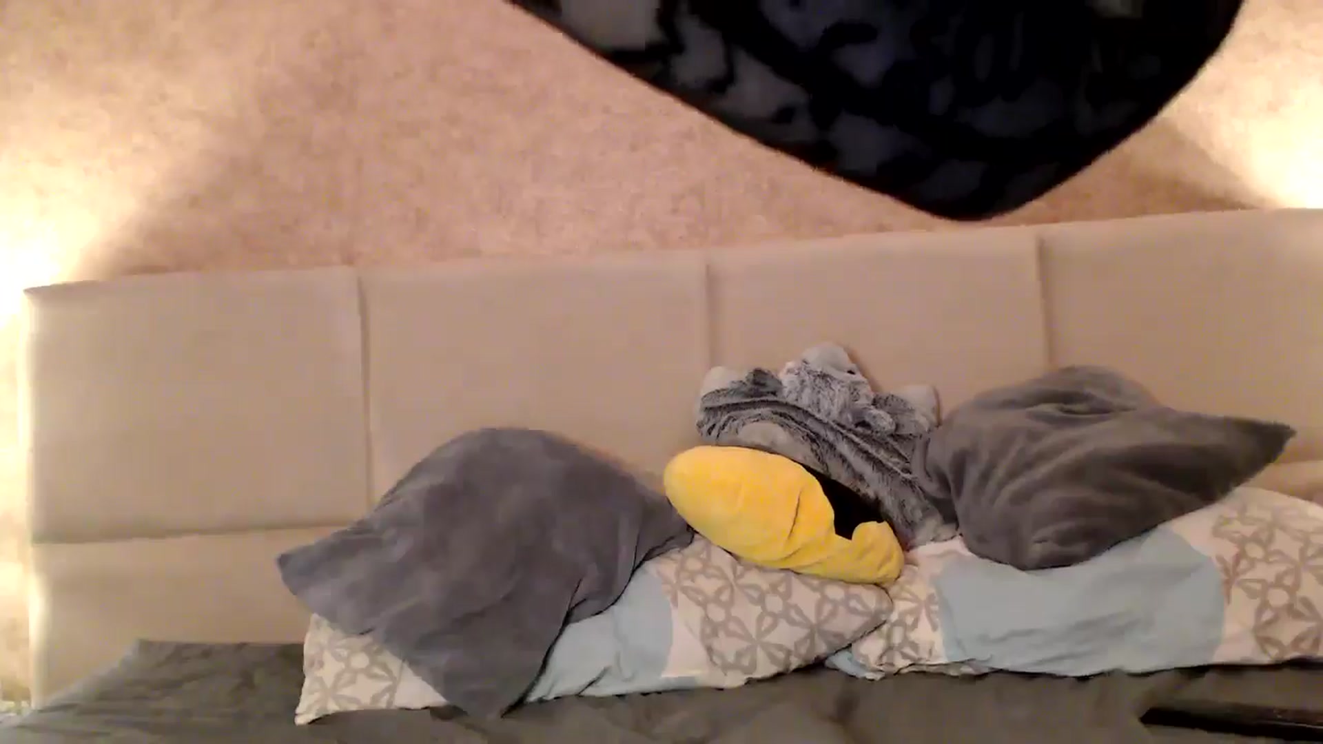 Gallery image thumbnail from MissDivinna's myfreecams stream on, 03/05/2026, 24:18 image 4 of 20