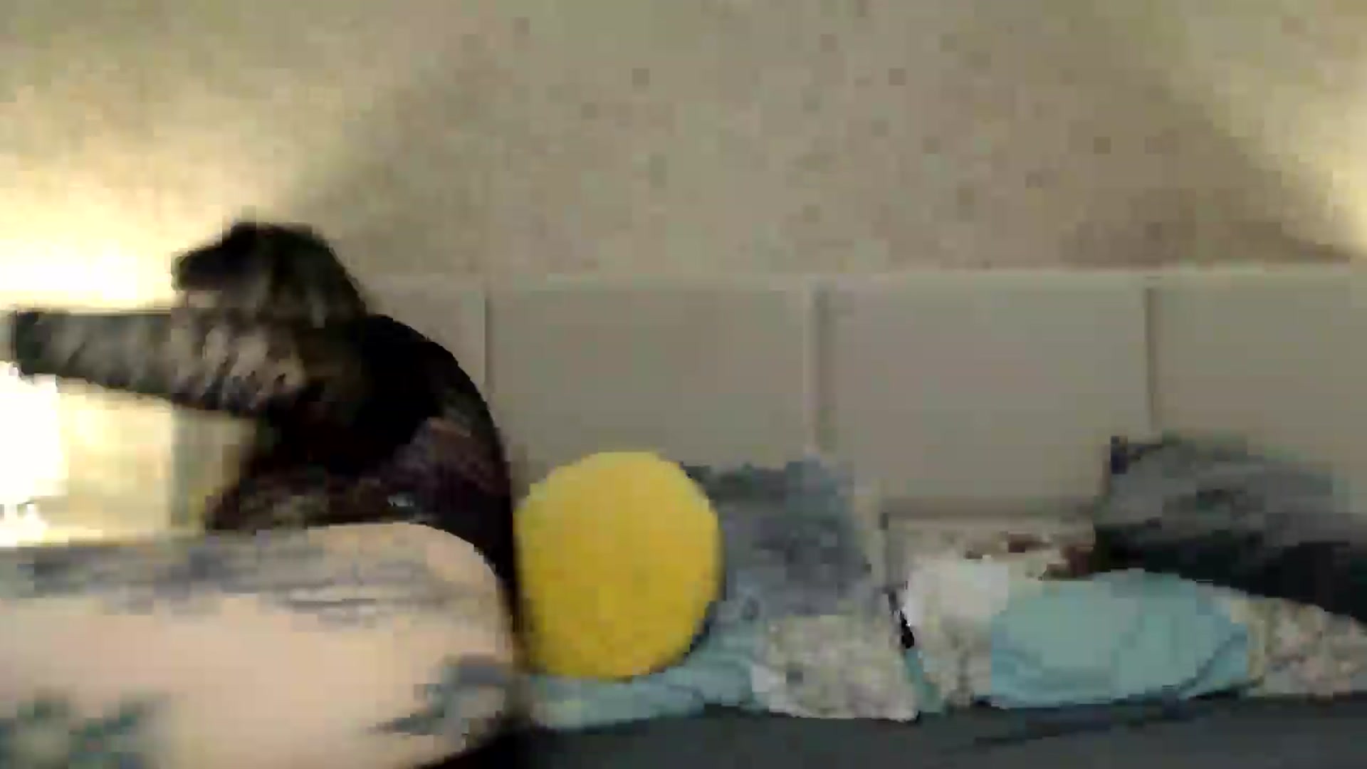Gallery image thumbnail from MissDivinna's myfreecams stream on, 03/17/2026, 23:33 image 8 of 20