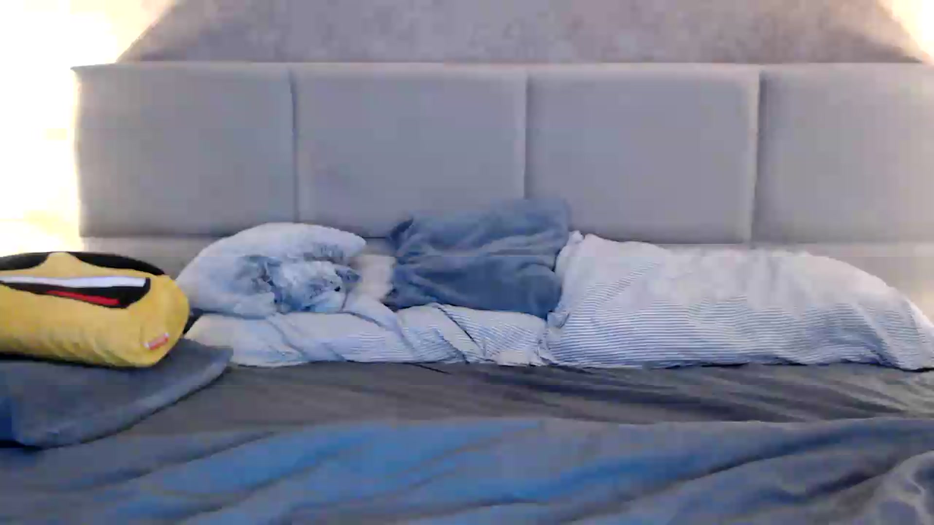 Gallery image thumbnail from MissDivinna's myfreecams stream on, 08/18/2026, 24:56 image 20 of 20