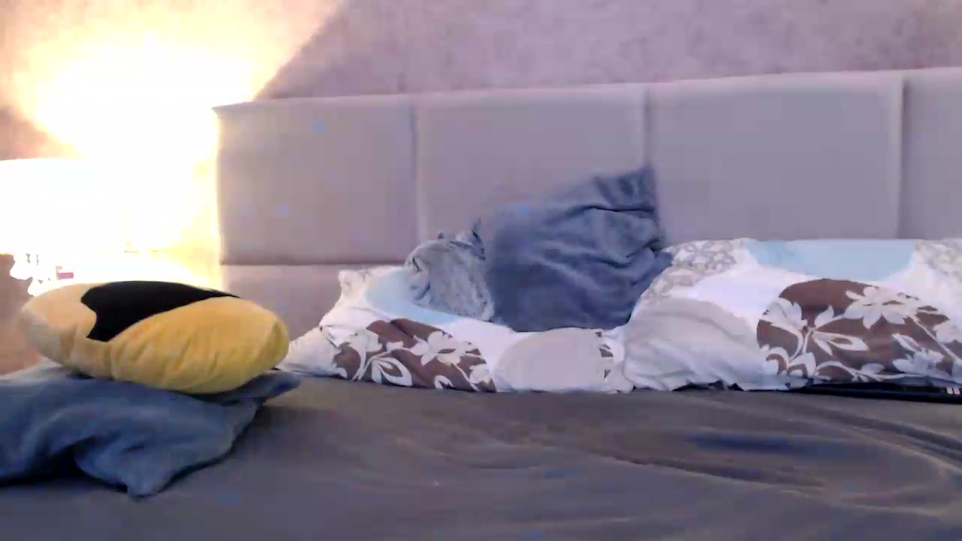 Gallery image thumbnail from MissDivinna's myfreecams stream on, 09/02/2026, 23:27 image 20 of 20