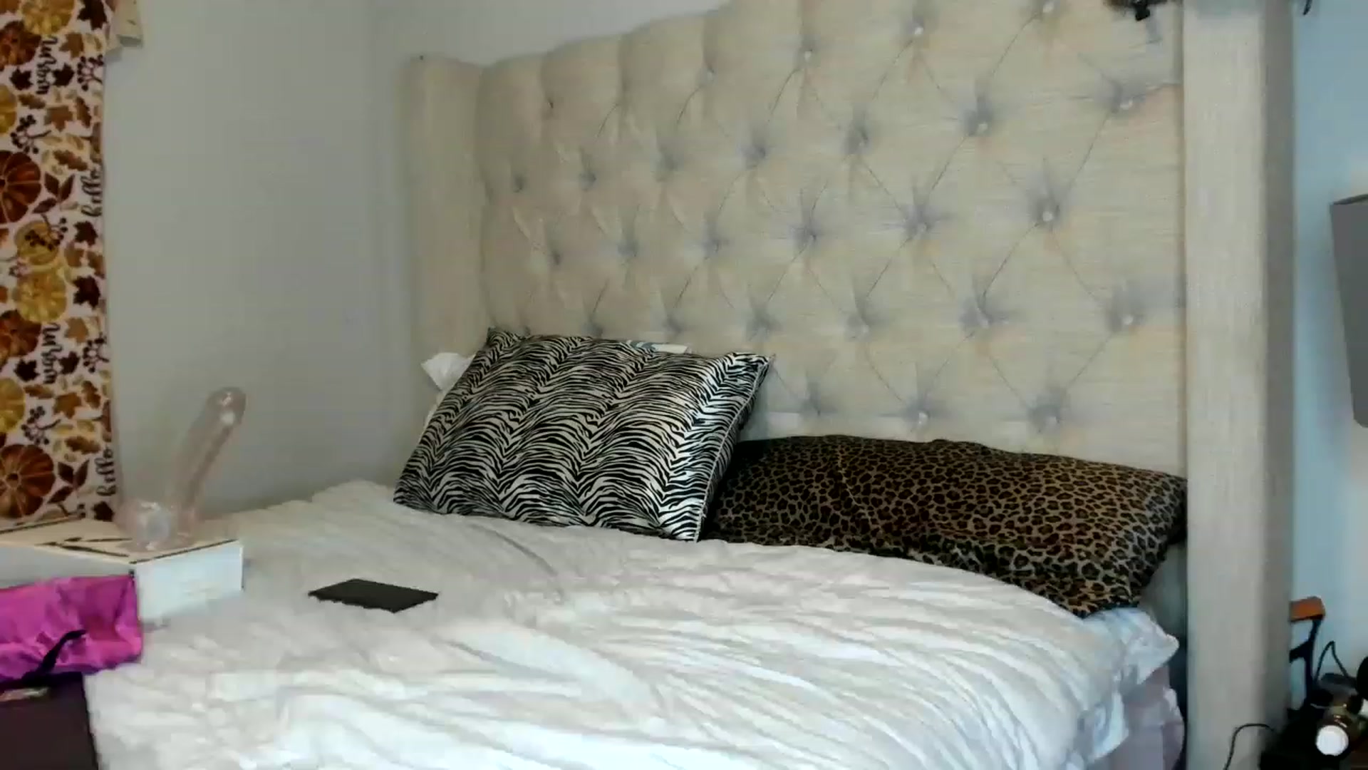 Gallery image thumbnail from MissFantaC's myfreecams stream on, 01/31/2023, 04:56 image 10 of 20