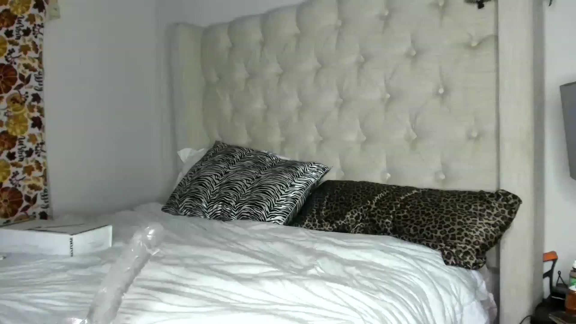 Gallery image thumbnail from MissFantaC's myfreecams stream on, 01/31/2023, 04:56 image 16 of 20