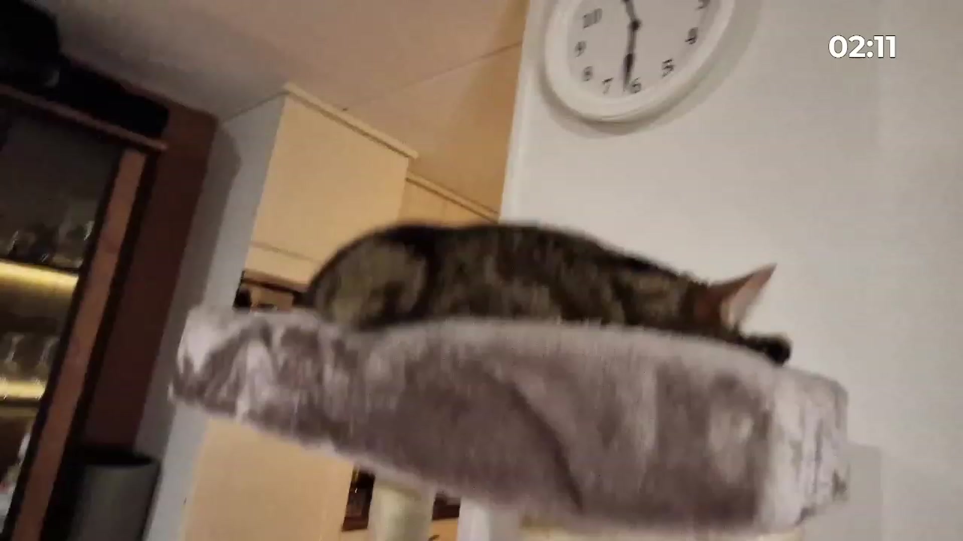 Gallery image thumbnail from MissFine's myfreecams stream on, 01/22/2023, 22:51 image 5 of 20