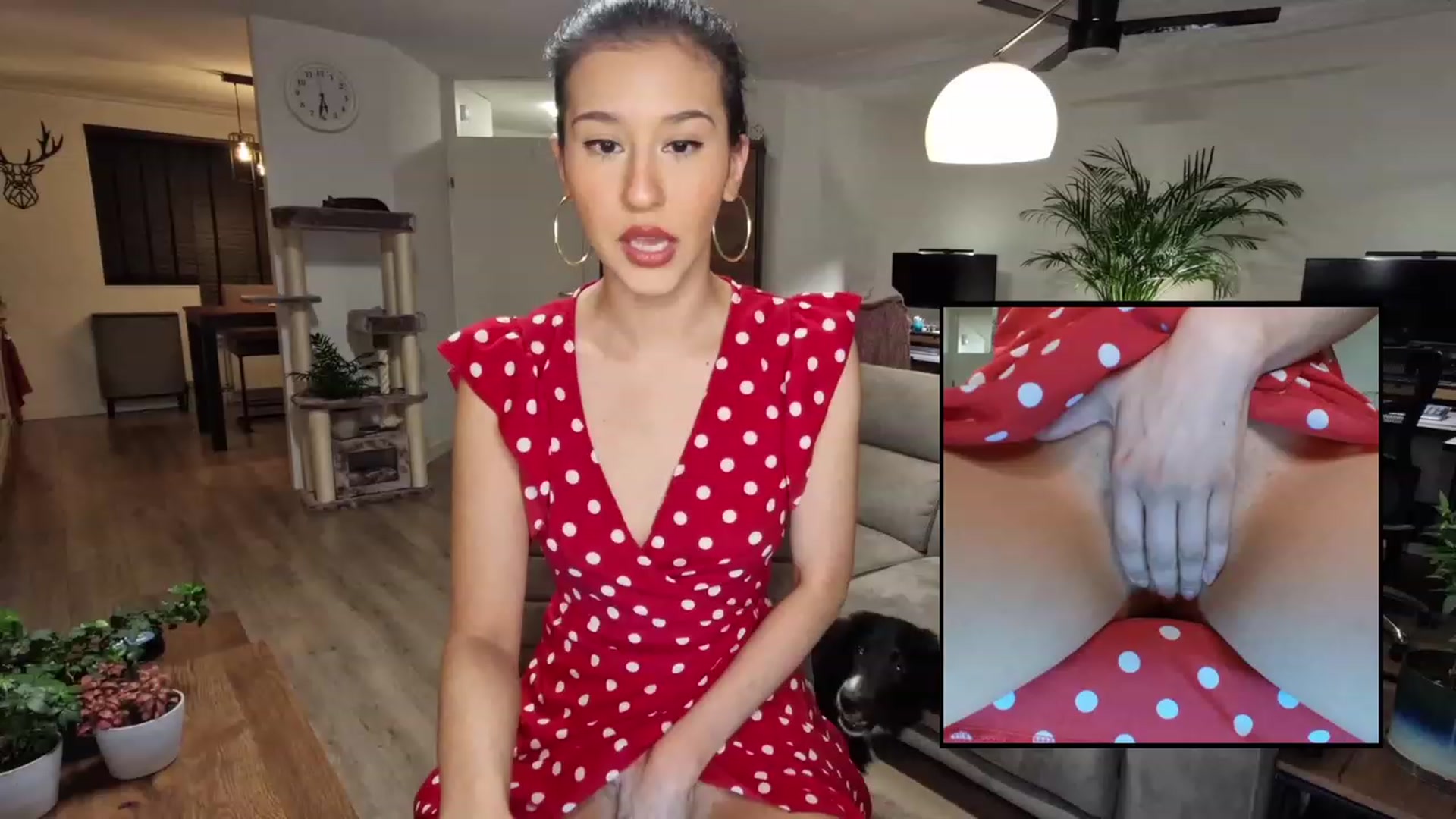 Gallery image thumbnail from MissFine's myfreecams stream on, 03/14/2023, 05:04 image 13 of 20