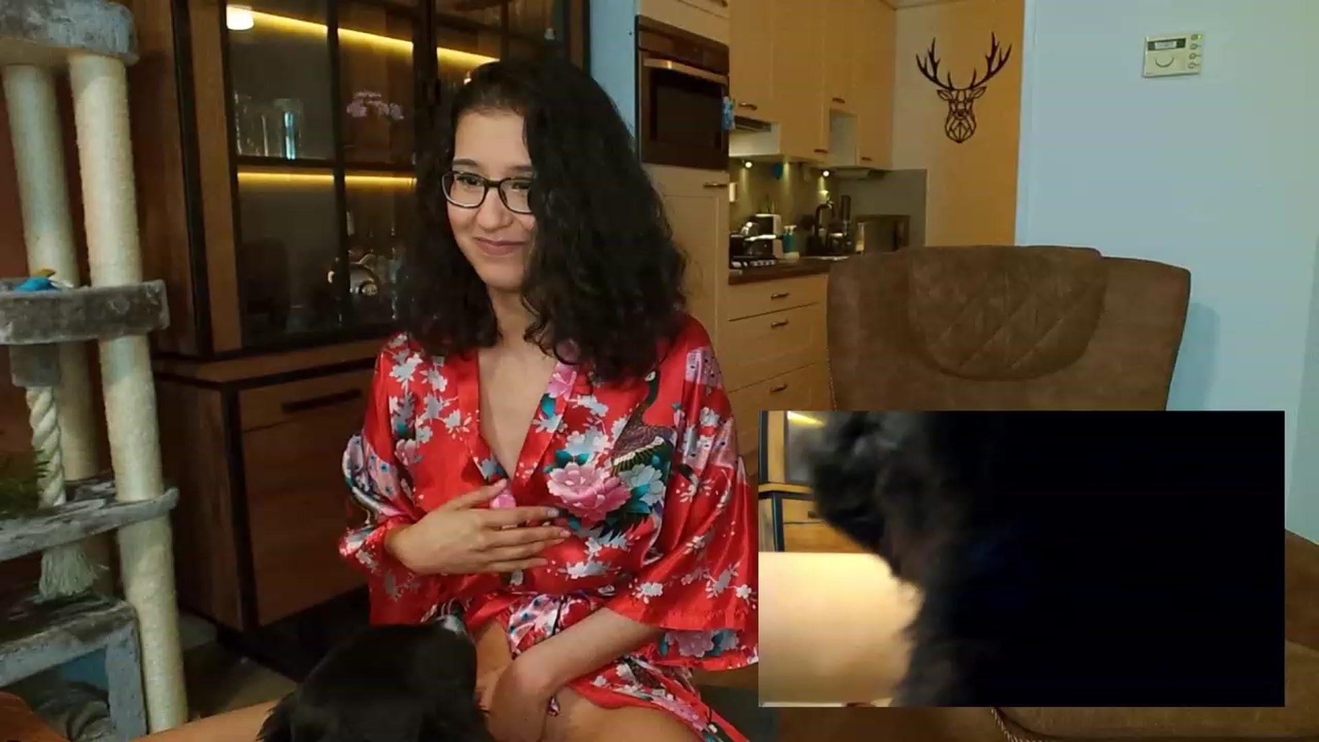 Gallery image thumbnail from MissFine's myfreecams stream on, 04/20/2023, 03:19 image 10 of 20