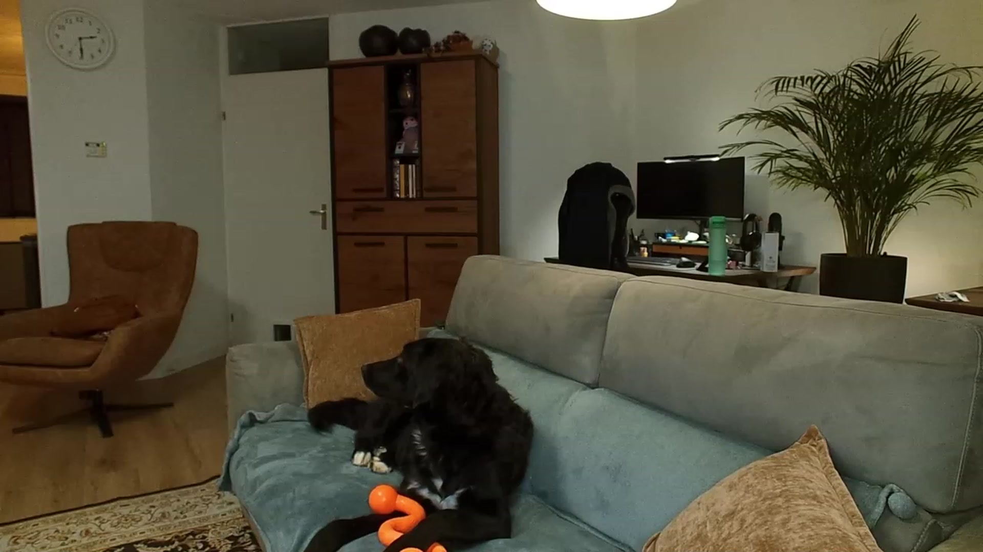 Gallery image thumbnail from MissFine's myfreecams stream on, 04/27/2023, 02:15 image 2 of 20