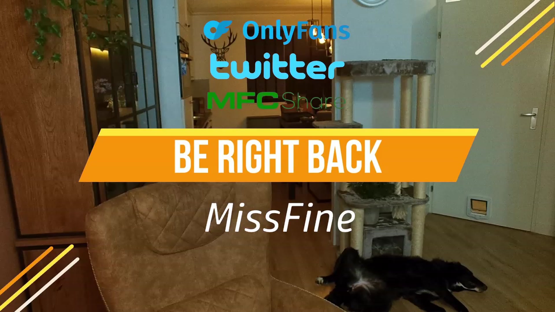 Gallery image thumbnail from MissFine's myfreecams stream on, 05/16/2023, 01:51 image 16 of 20