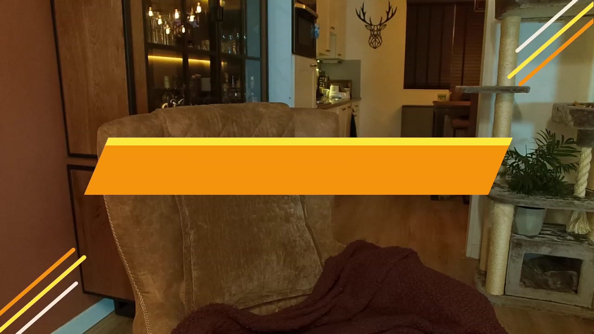 Gallery image thumbnail from MissFine's myfreecams stream on, 05/23/2023, 03:06 image 7 of 20