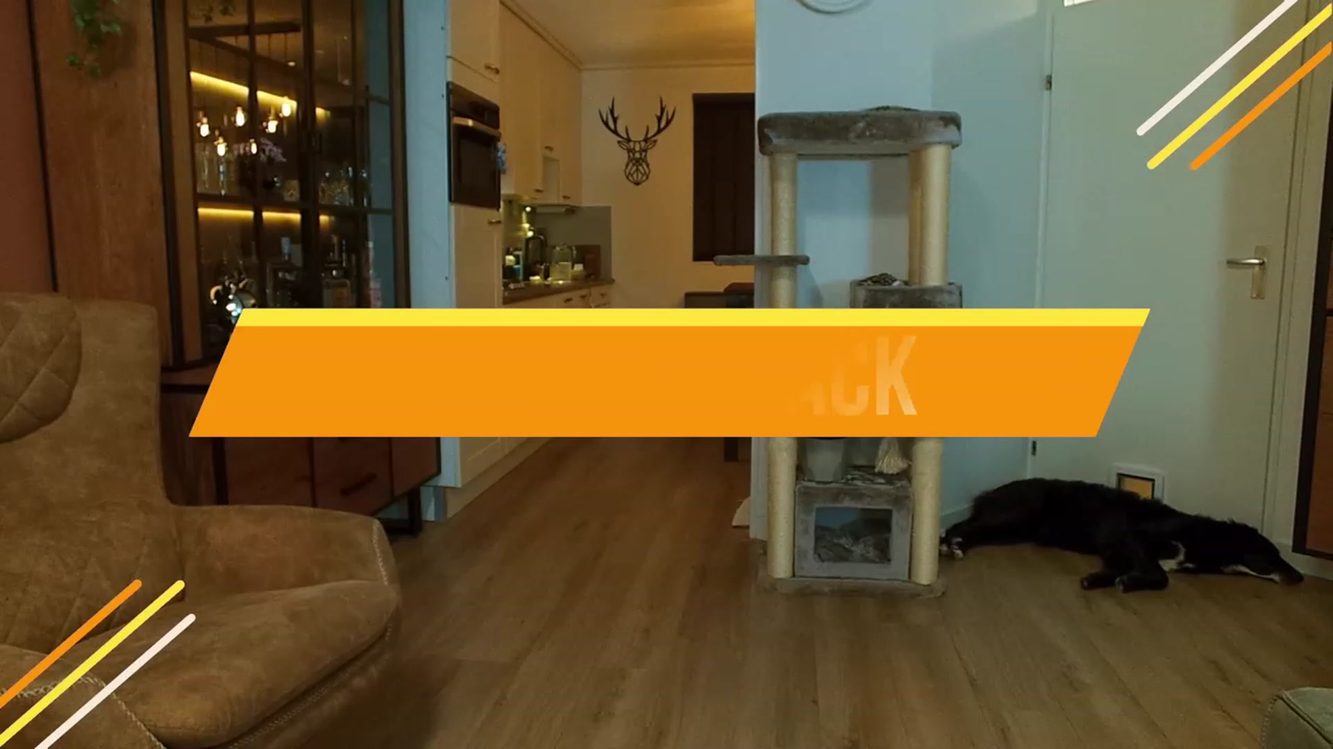 Gallery image thumbnail from MissFine's myfreecams stream on, 06/08/2023, 03:38 image 13 of 20