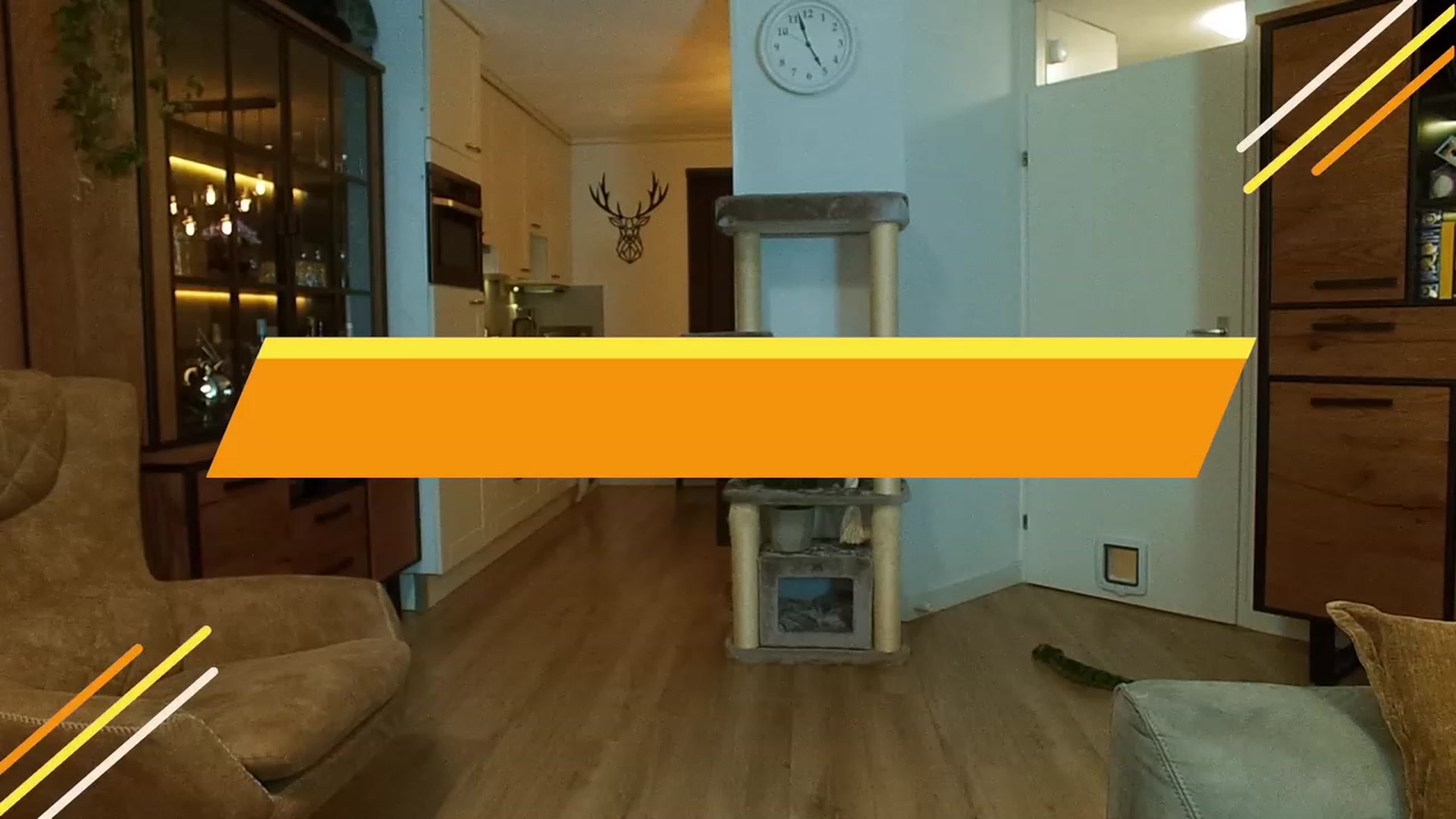 Gallery image thumbnail from MissFine's myfreecams stream on, 06/24/2023, 04:17 image 6 of 20