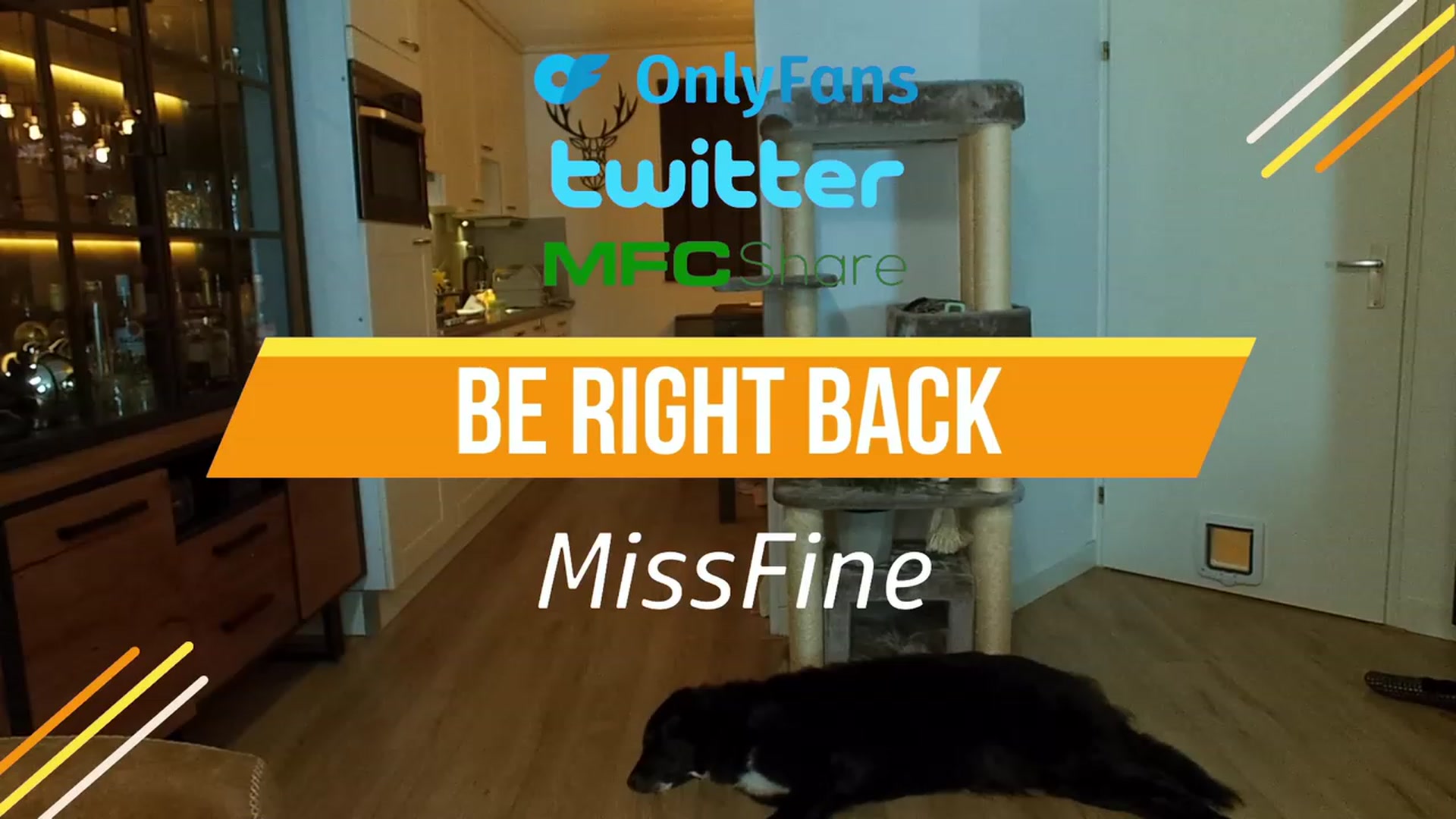 Gallery image thumbnail from MissFine's myfreecams stream on, 07/12/2023, 03:11 image 7 of 20