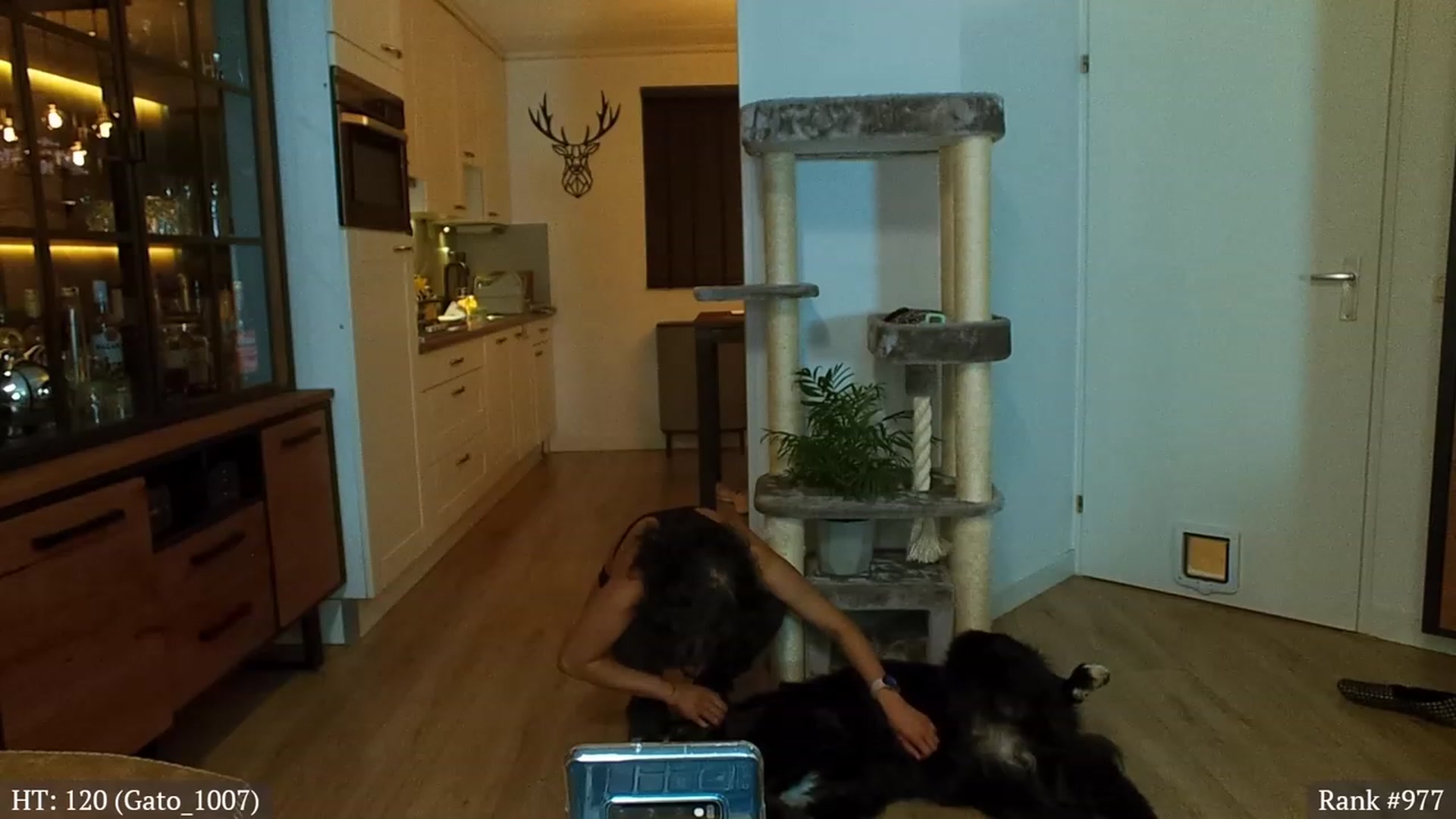 Gallery image thumbnail from MissFine's myfreecams stream on, 07/12/2023, 03:11 image 19 of 20