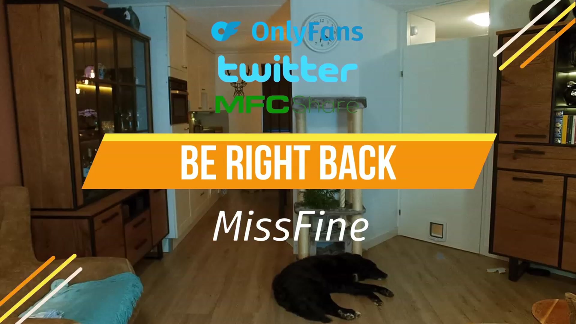 Gallery image thumbnail from MissFine's myfreecams stream on, 07/23/2023, 05:01 image 4 of 20