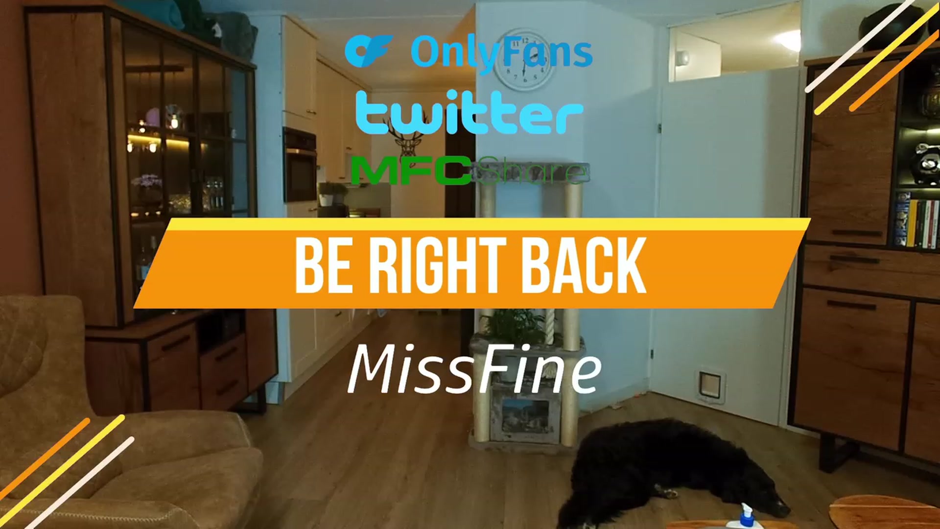 Gallery image thumbnail from MissFine's myfreecams stream on, 07/31/2023, 04:54 image 12 of 20