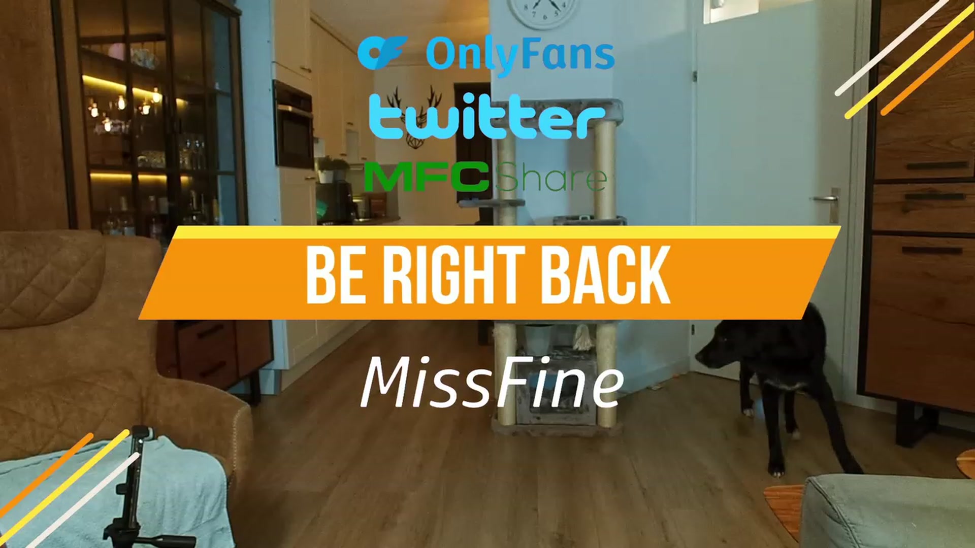 Gallery image thumbnail from MissFine's myfreecams stream on, 07/31/2023, 05:59 image 10 of 20