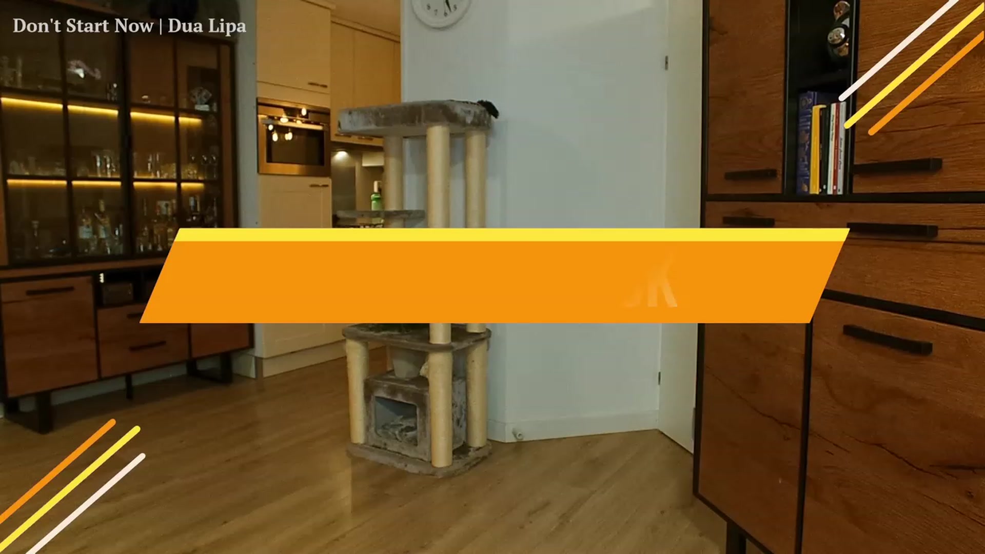 Gallery image thumbnail from MissFine's myfreecams stream on, 09/14/2023, 04:02 image 4 of 20