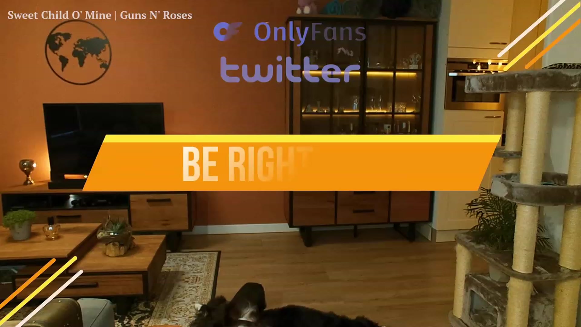 Gallery image thumbnail from MissFine's myfreecams stream on, 09/22/2023, 10:11 image 8 of 20