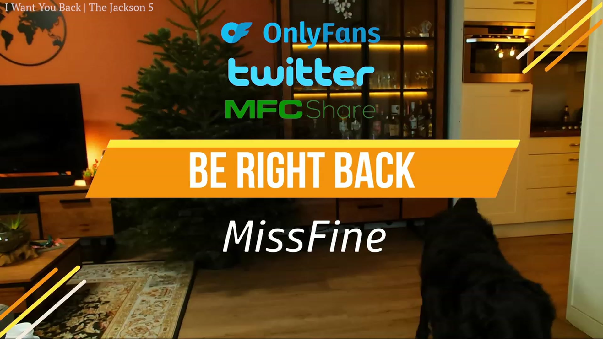 Gallery image thumbnail from MissFine's myfreecams stream on, 12/12/2023, 06:01 image 10 of 20