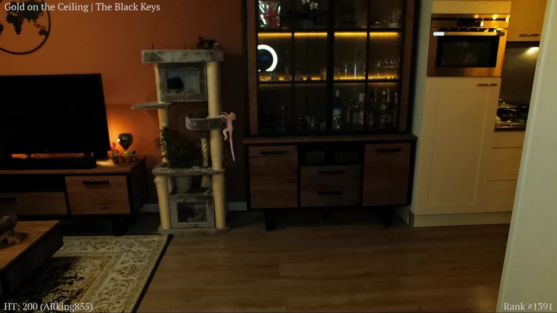 Gallery image thumbnail from MissFine's myfreecams stream on, 01/09/2024, 06:29 image 12 of 20