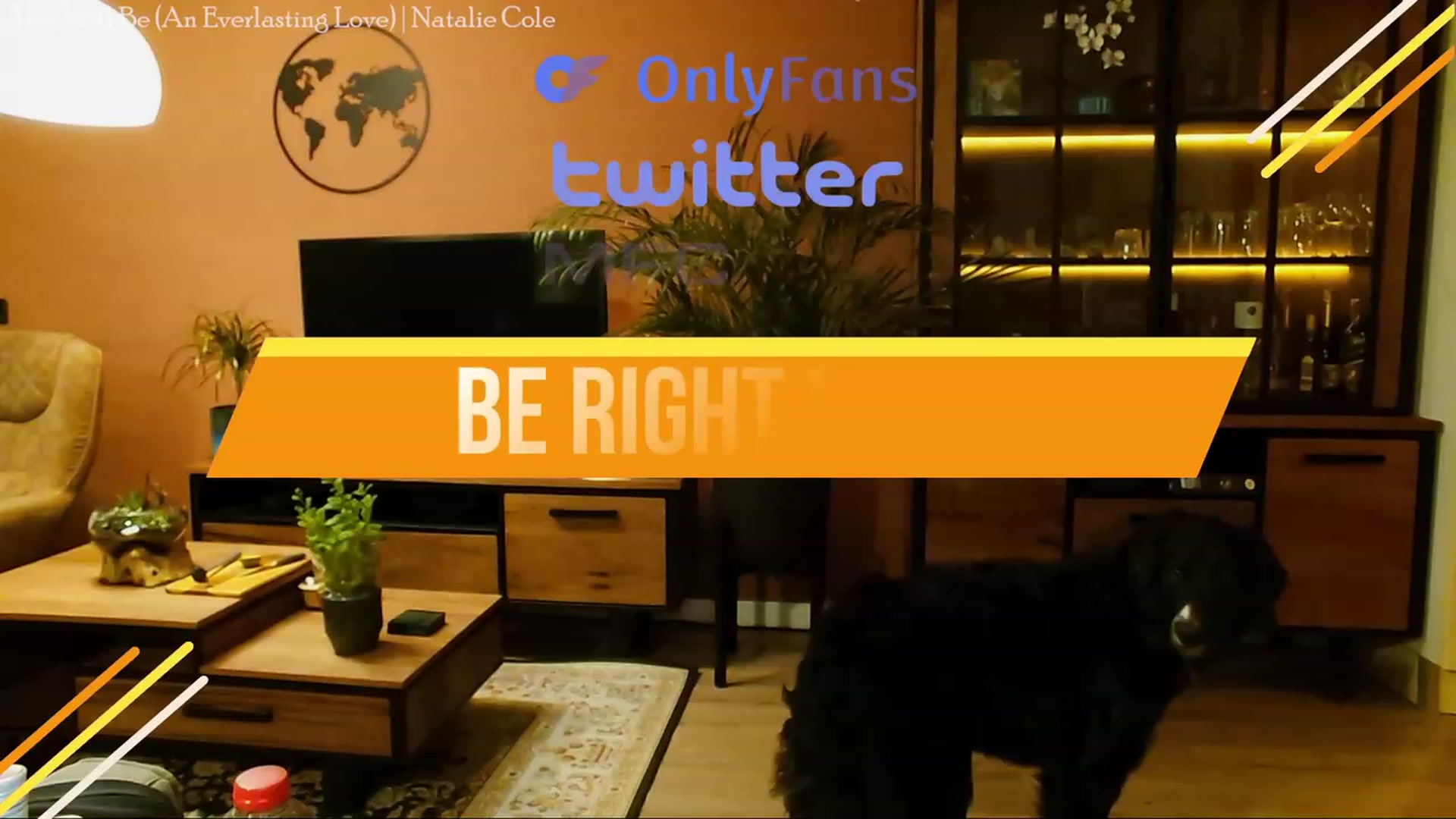 Gallery image thumbnail from MissFine's myfreecams stream on, 03/16/2024, 07:04 image 13 of 20