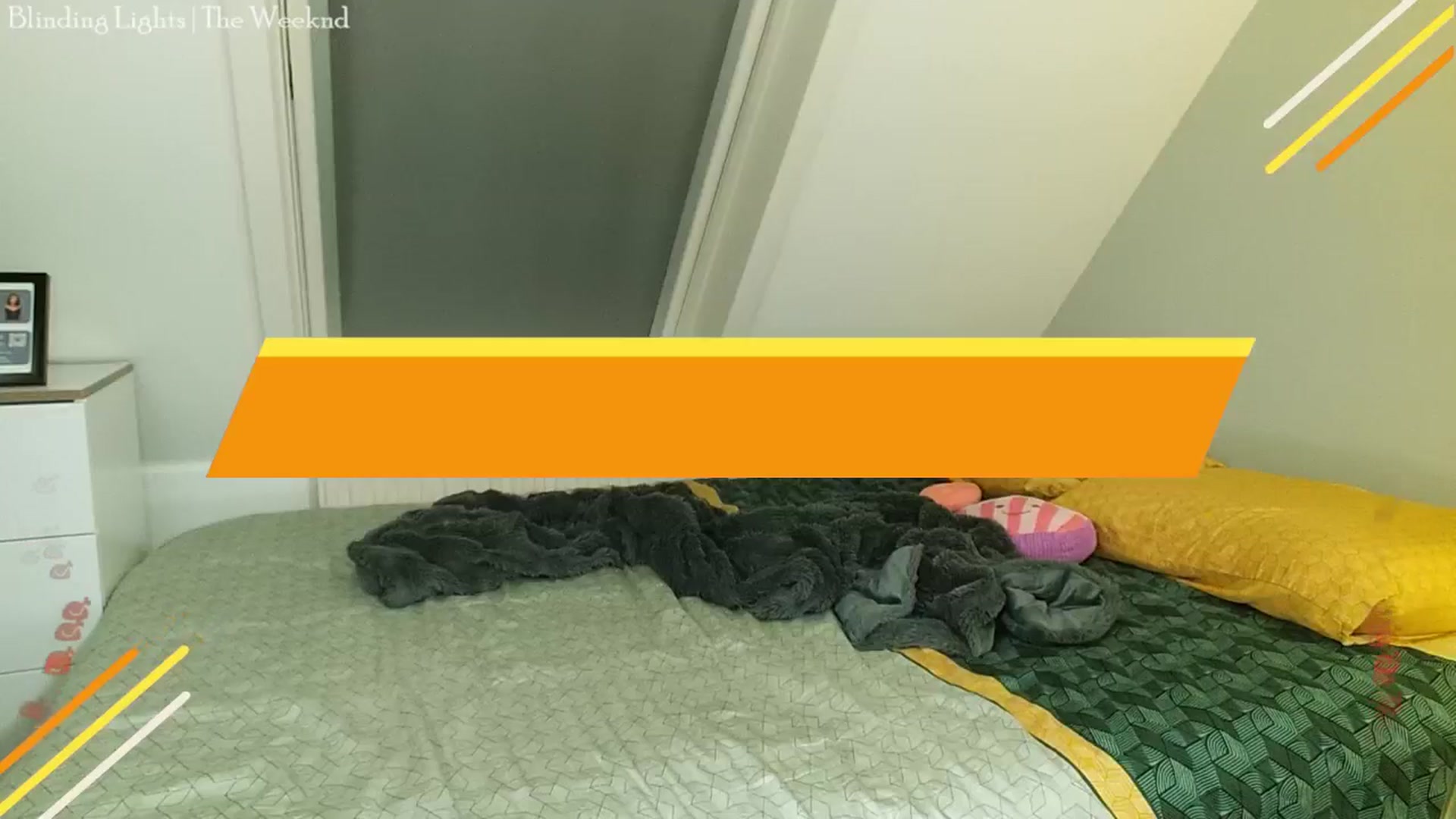 Gallery image thumbnail from MissFine's myfreecams stream on, 11/09/2024, 08:38 image 18 of 20