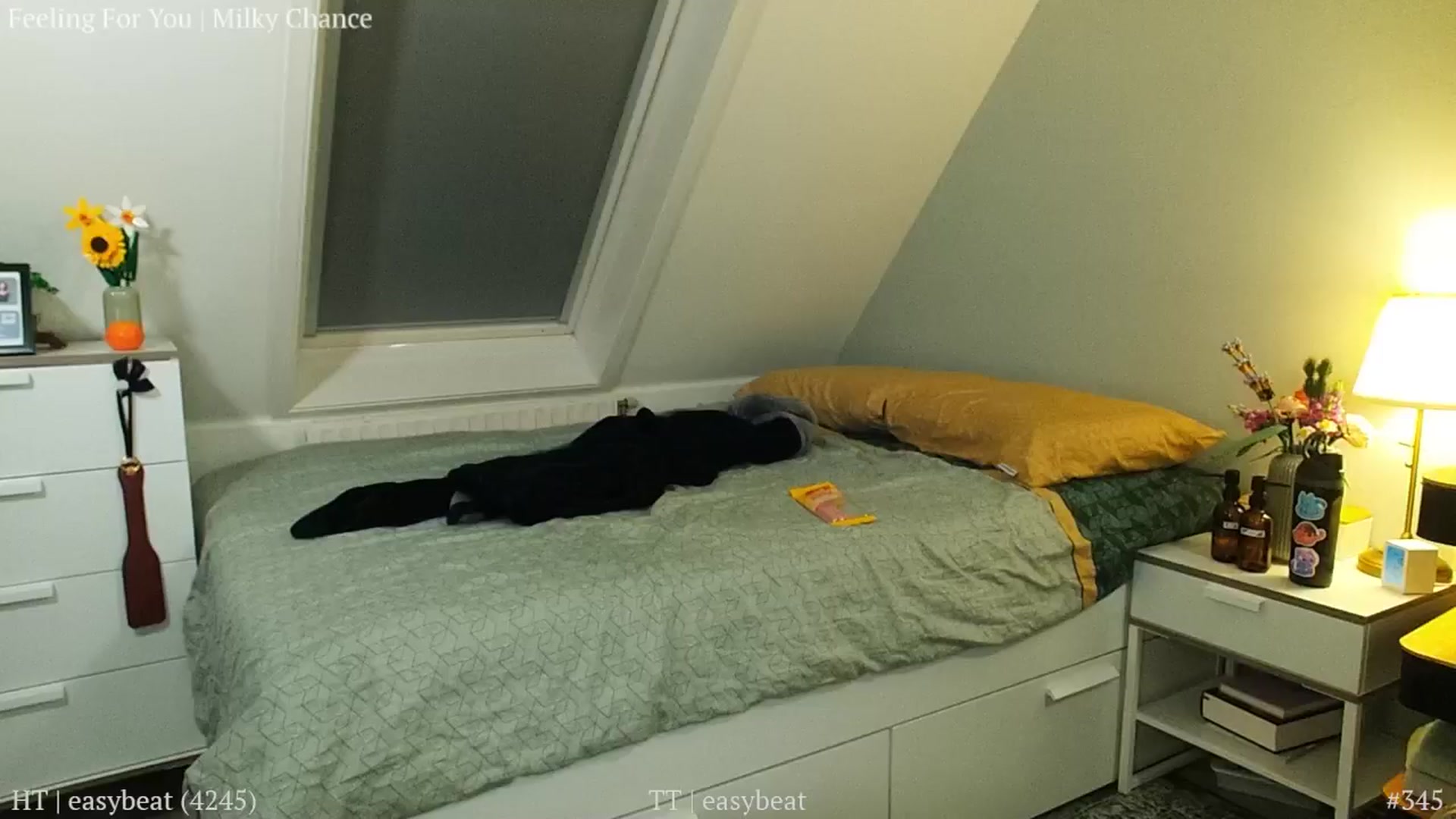 Gallery image thumbnail from MissFine's myfreecams stream on, 01/10/2025, 15:59 image 9 of 20