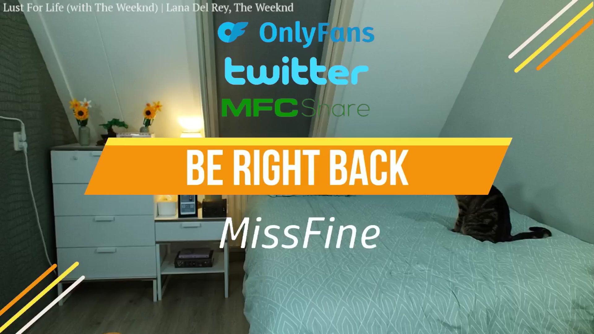 Gallery image thumbnail from MissFine's myfreecams stream on, 04/11/2025, 08:17 image 13 of 20