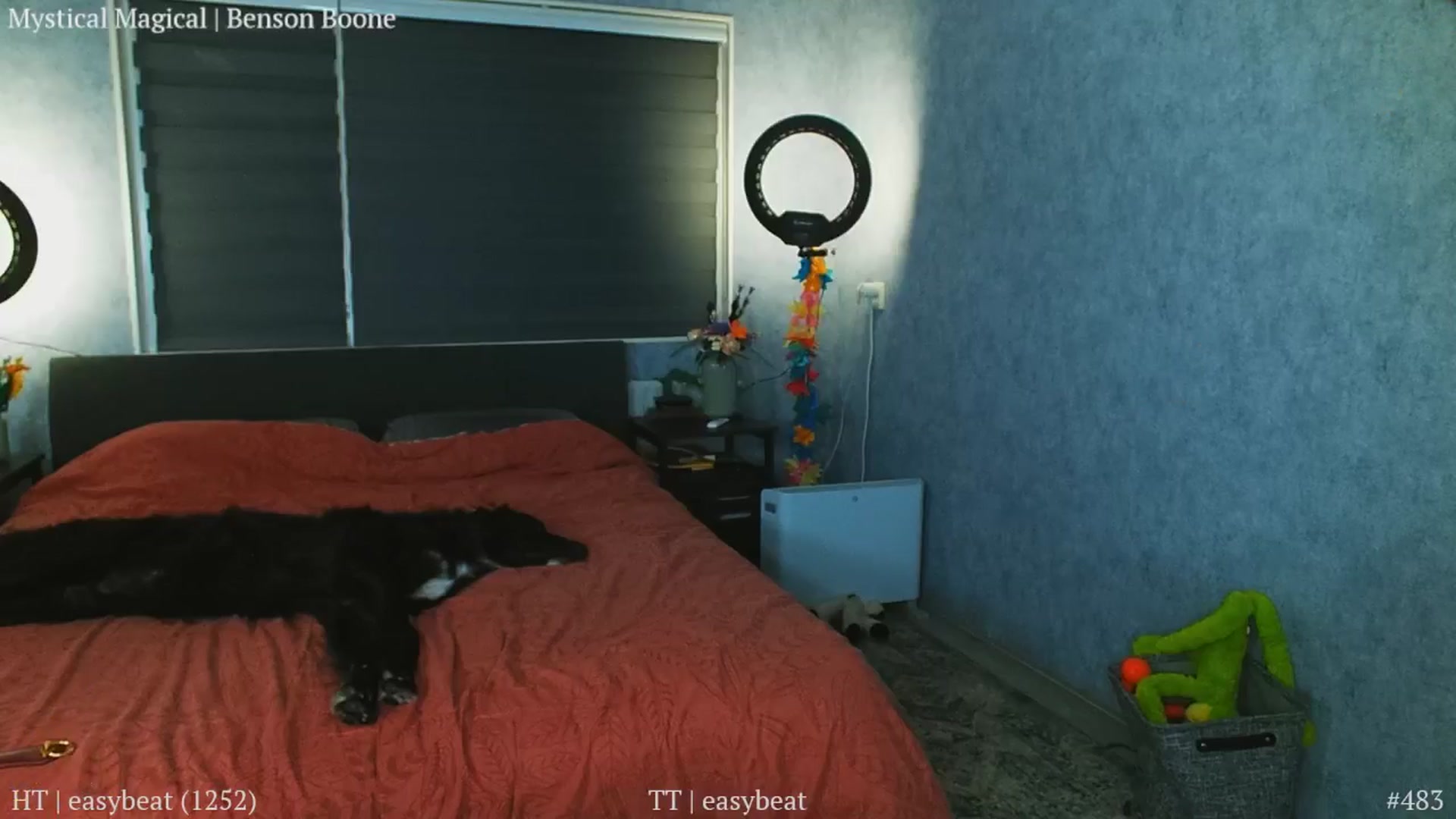 Gallery image thumbnail from MissFine's myfreecams stream on, 10/24/2025, 23:45 image 16 of 20