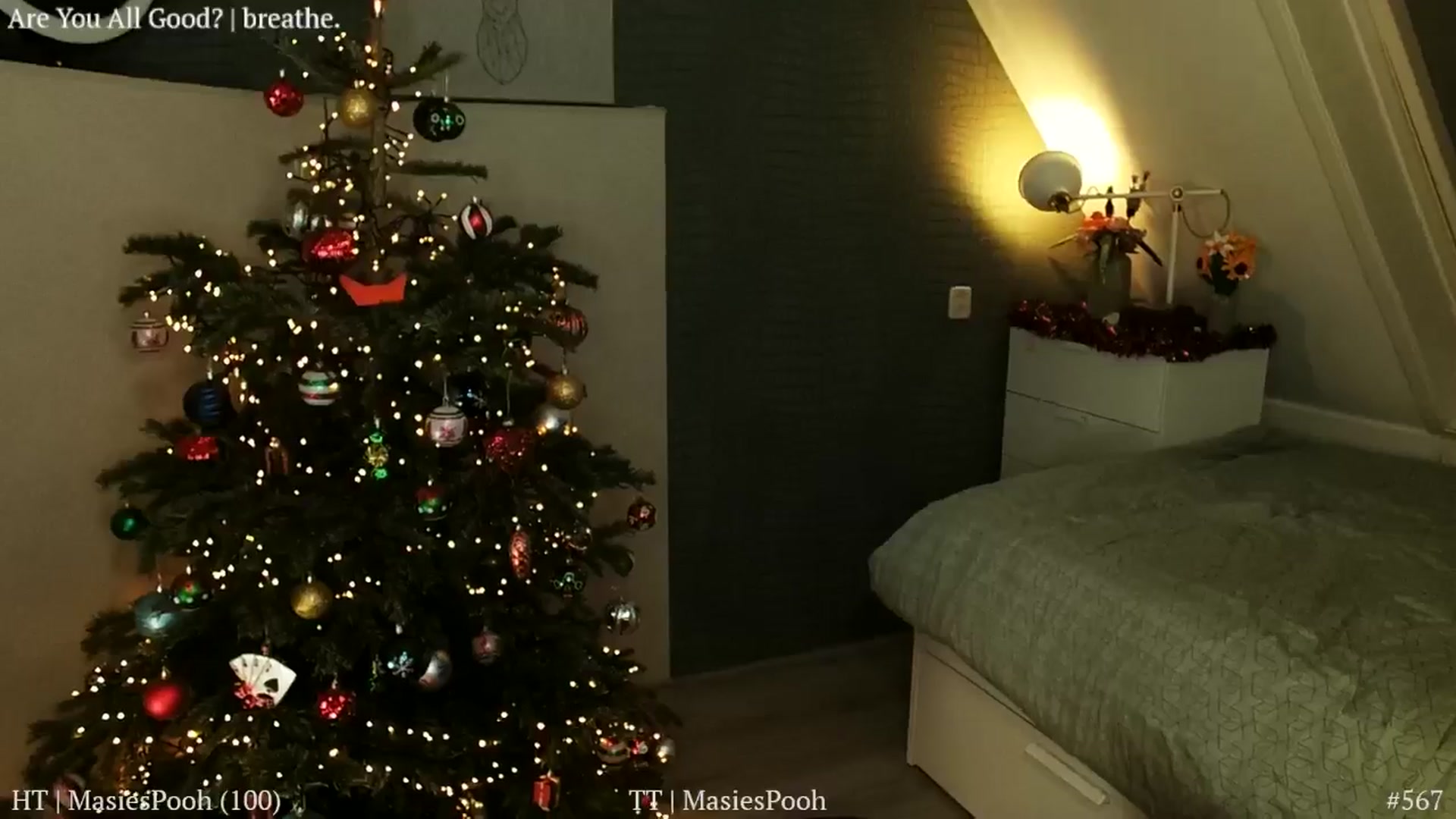 Gallery image thumbnail from MissFine's myfreecams stream on, 12/31/2025, 03:54 image 16 of 20