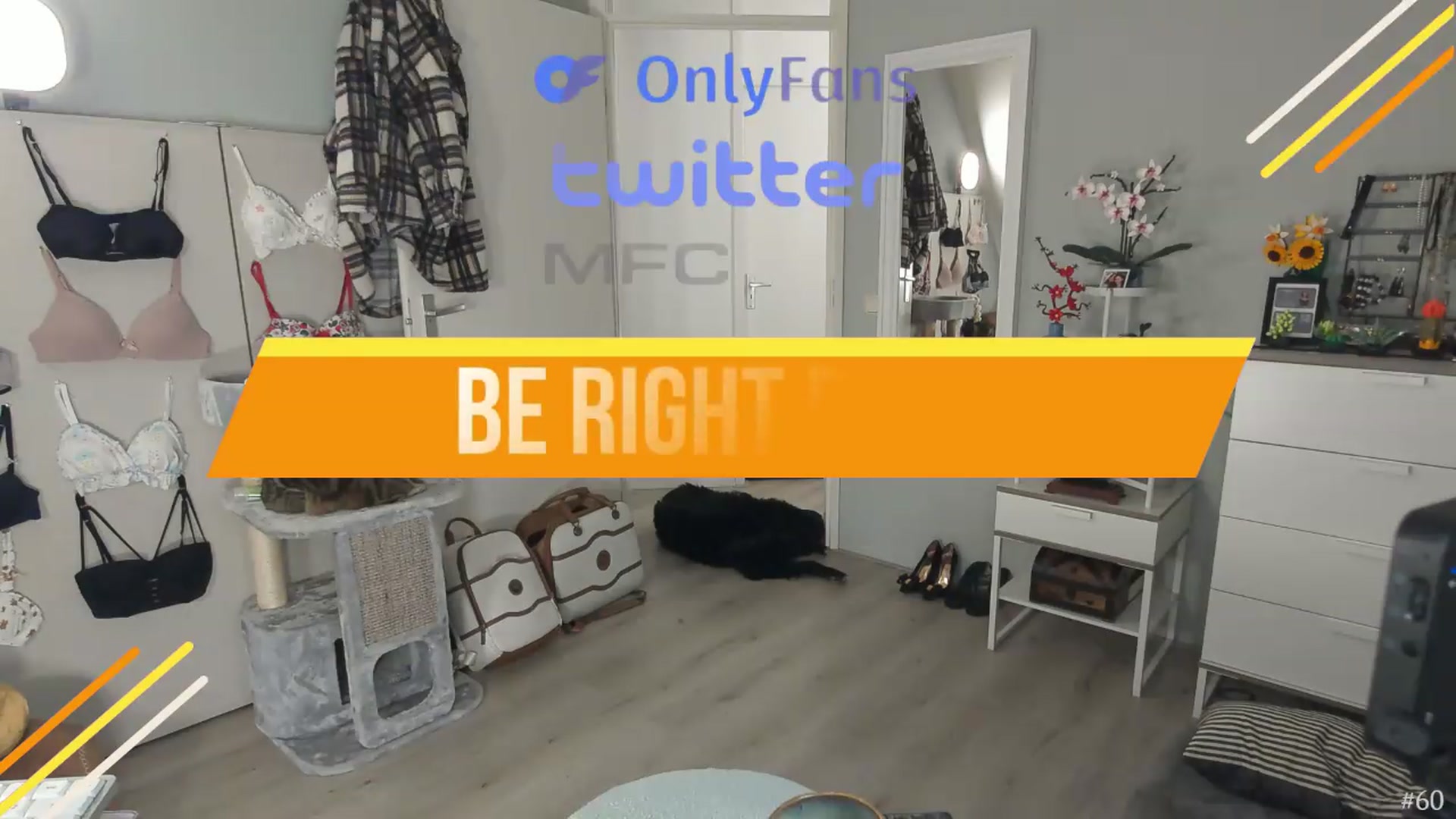 Gallery image thumbnail from MissFine's myfreecams stream on, 09/14/2026, 06:04 image 11 of 20