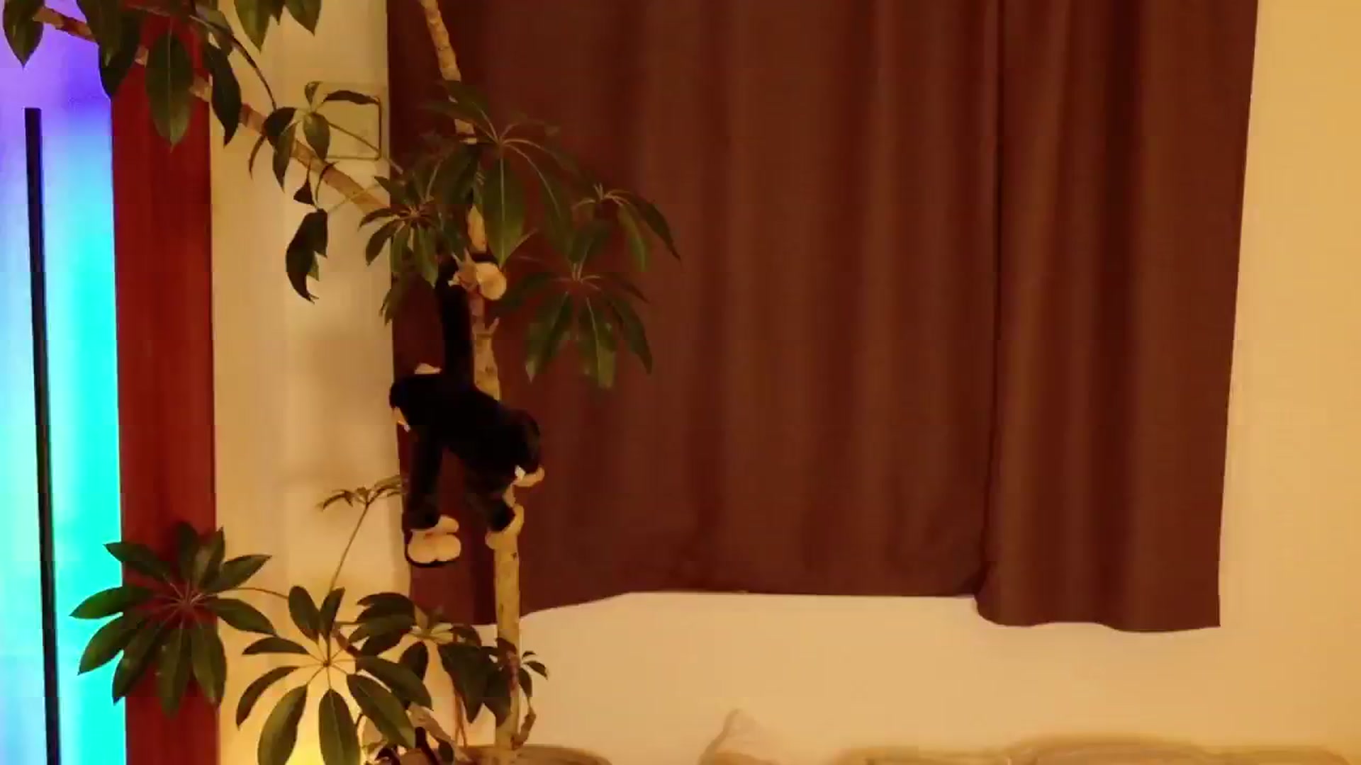Gallery image thumbnail from MissJAPAN's myfreecams stream on, 08/10/2024, 11:05 image 1 of 20