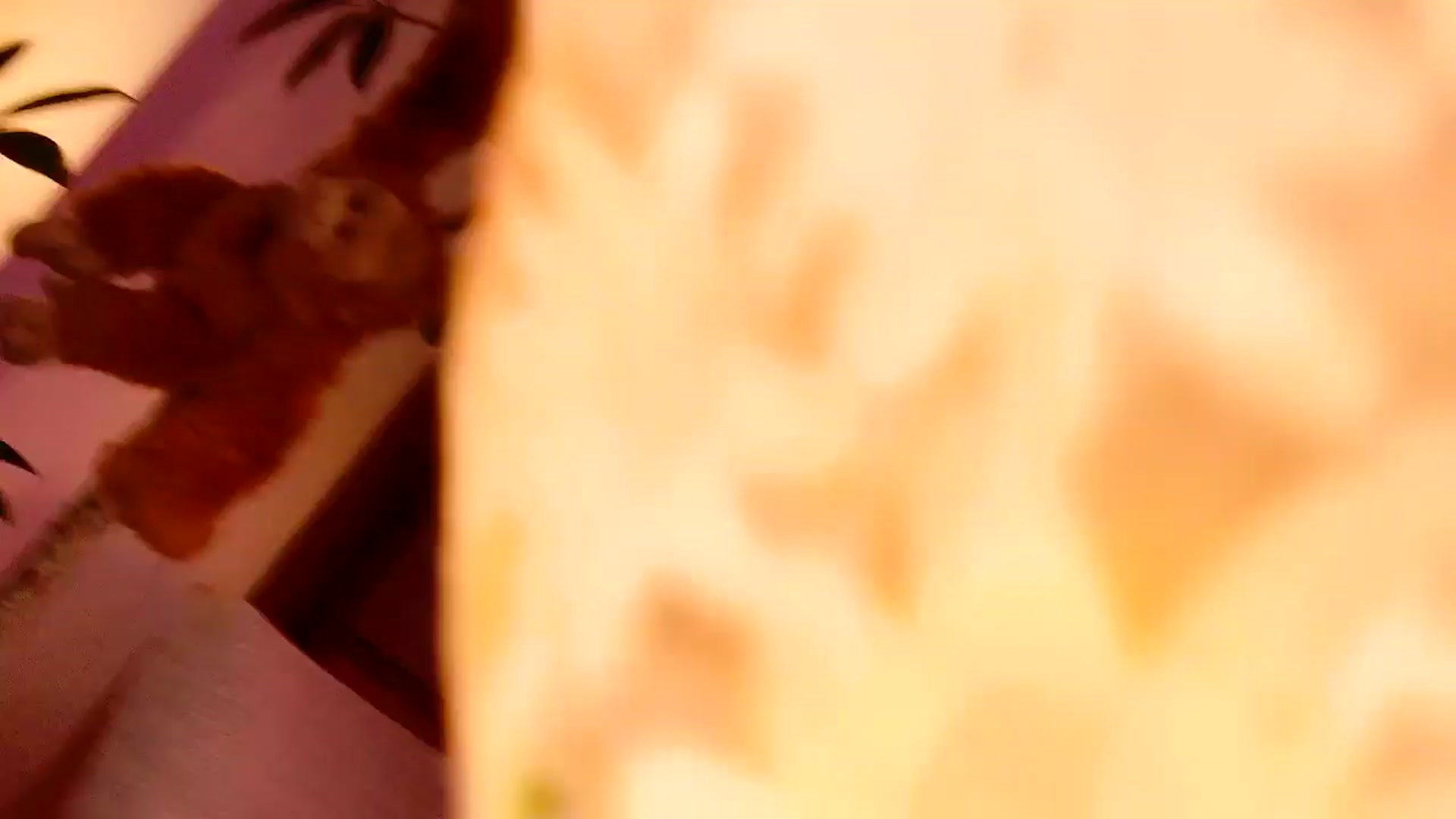 Gallery image thumbnail from MissJAPAN's myfreecams stream on, 02/23/2025, 12:29 image 4 of 20
