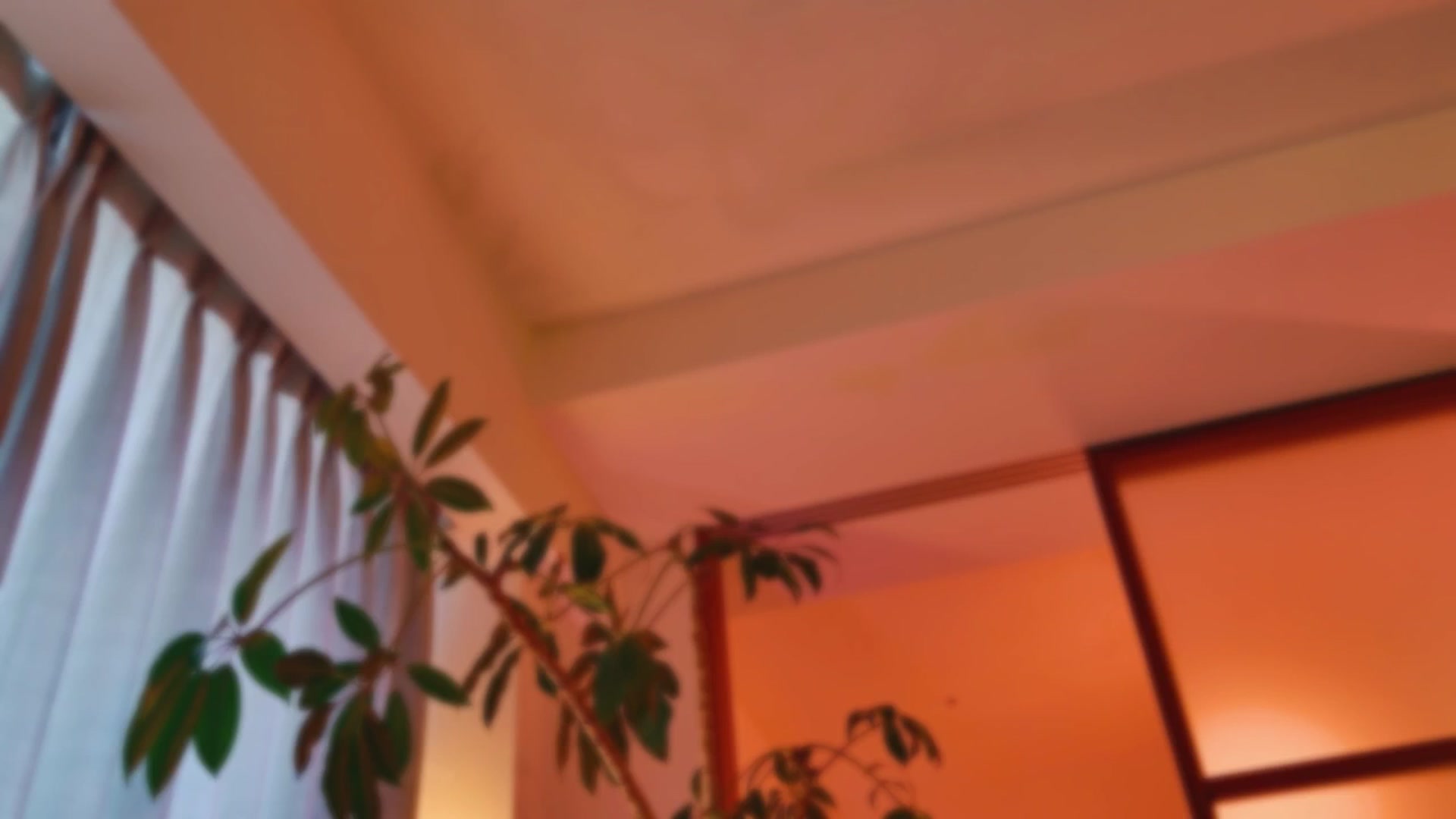 Gallery image thumbnail from MissJAPAN's myfreecams stream on, 07/21/2025, 07:08 image 19 of 20