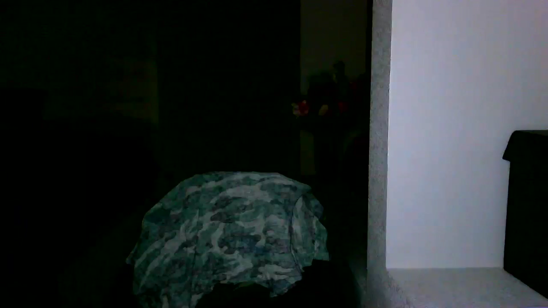 Gallery image thumbnail from MissJaeLee's myfreecams stream on, 08/31/2023, 04:16 image 16 of 20