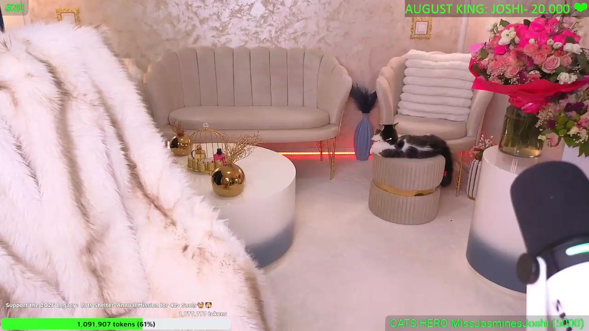 Gallery image thumbnail from MissJasmine_'s myfreecams stream on, 08/21/2026, 24:07 image 4 of 20