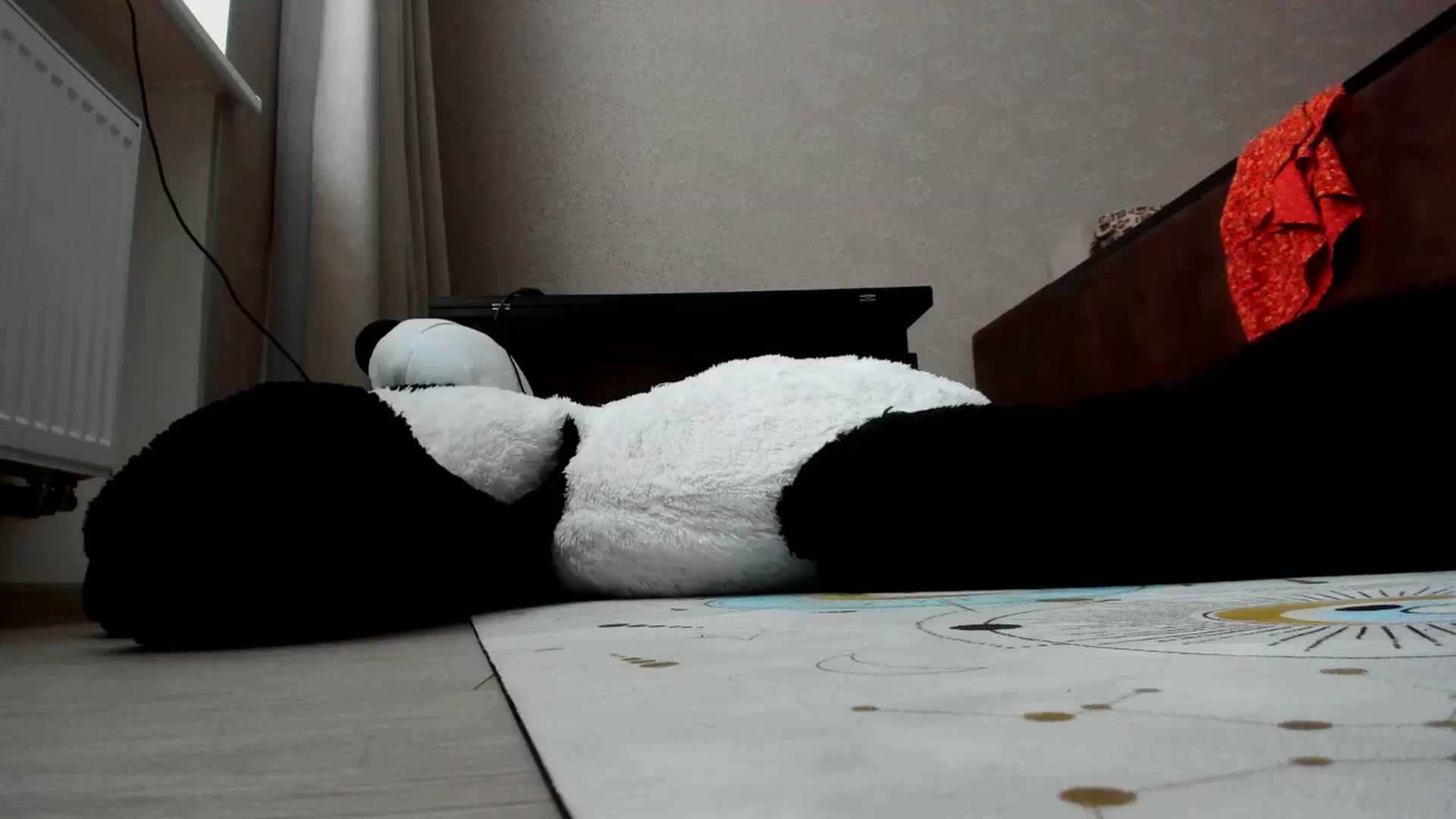 Gallery image thumbnail from MissJeanne's myfreecams stream on, 07/22/2024, 09:07 image 4 of 20