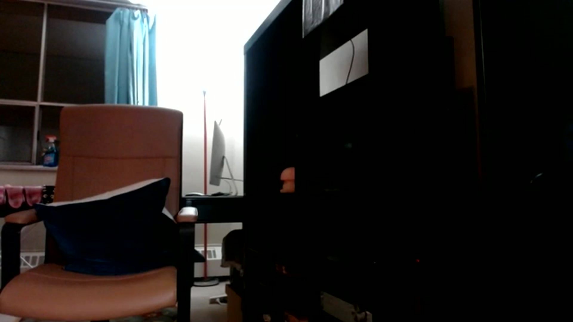 Gallery image thumbnail from MissJenny_x's myfreecams stream on, 07/16/2023, 08:24 image 4 of 20