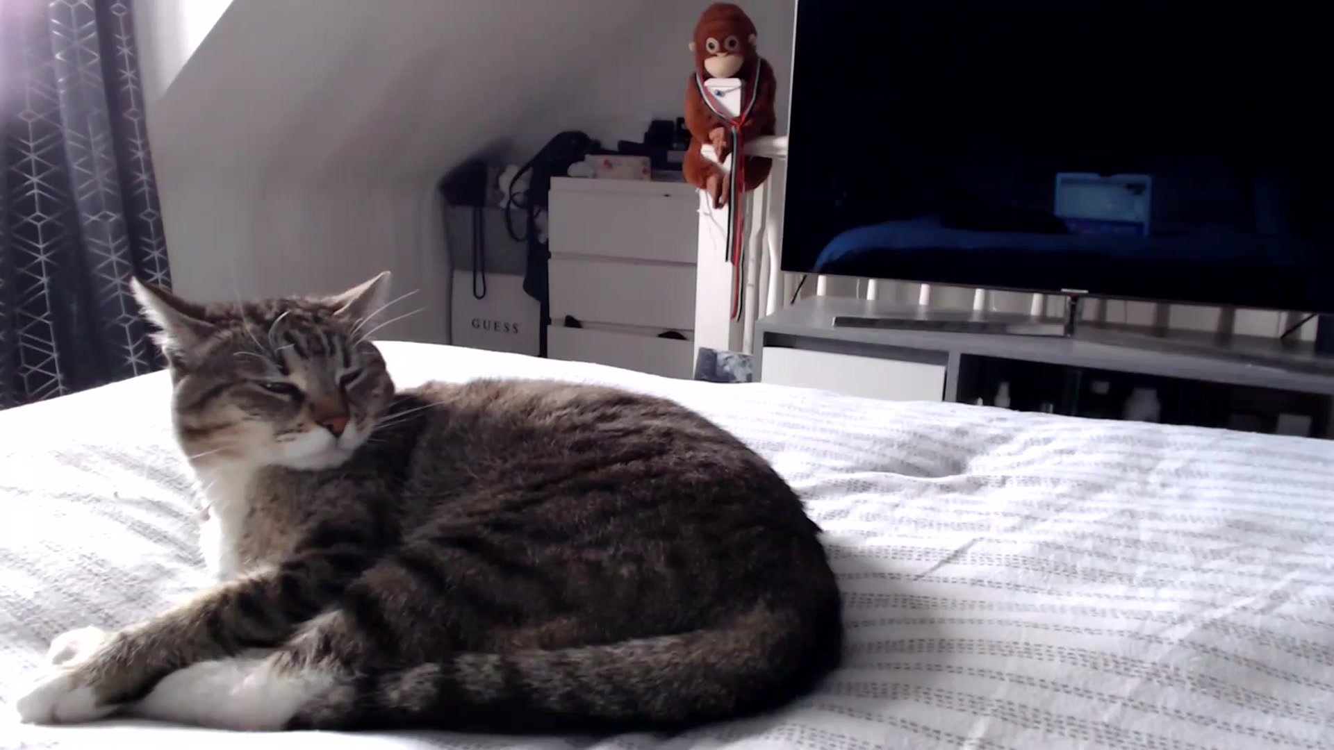 Gallery image thumbnail from MissLeanne's myfreecams stream on, 06/02/2025, 14:31 image 13 of 20