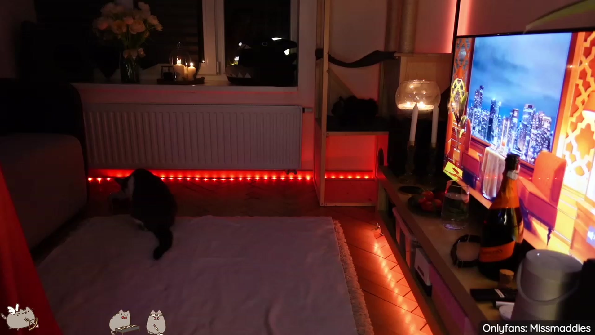 Gallery image thumbnail from MissMaddies's myfreecams stream on, 02/18/2023, 01:41 image 20 of 20